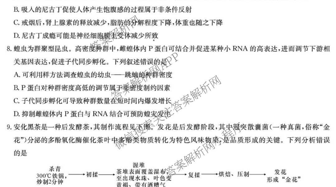 炎德英才大联考湖南师大附中2026届高三月考试卷(七)(T7)试卷及答案汇总（含政治 物理 语文等）生物试题