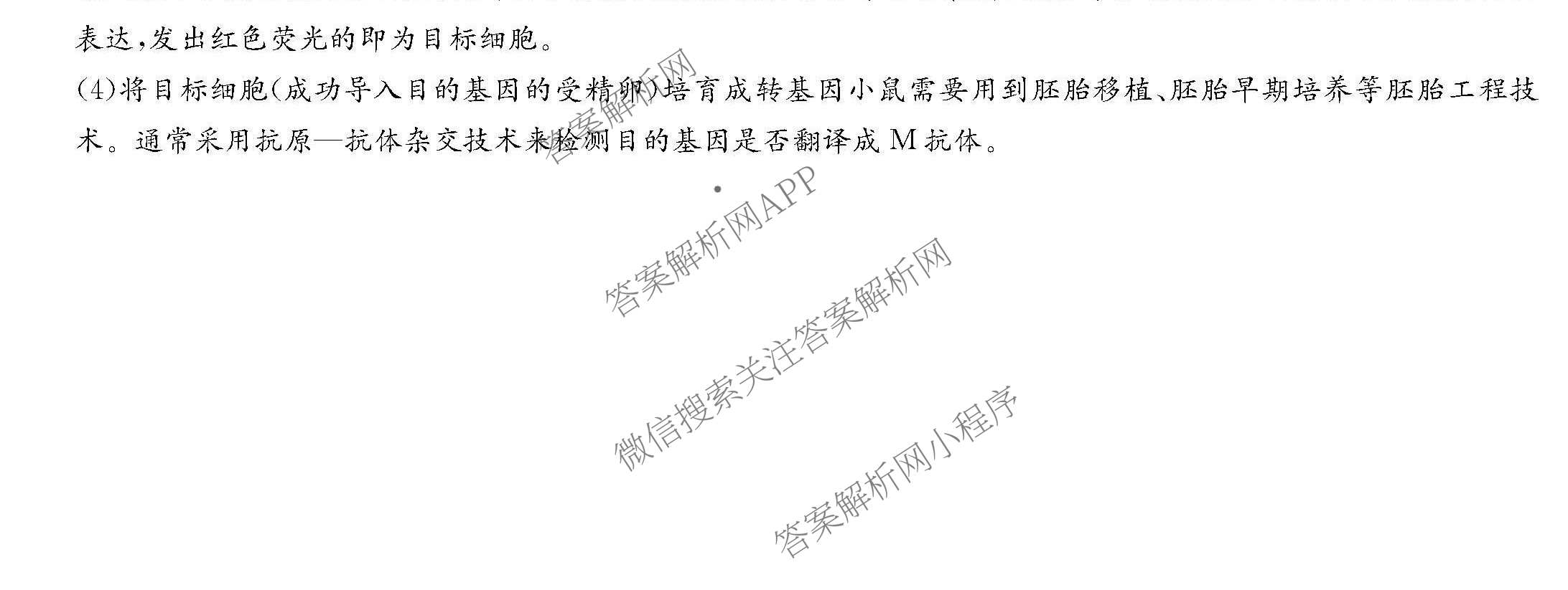 炎德英才大联考湖南师大附中2026届高三月考试卷(四)各科答案及试卷（含地理、生物、语文等）生物试题