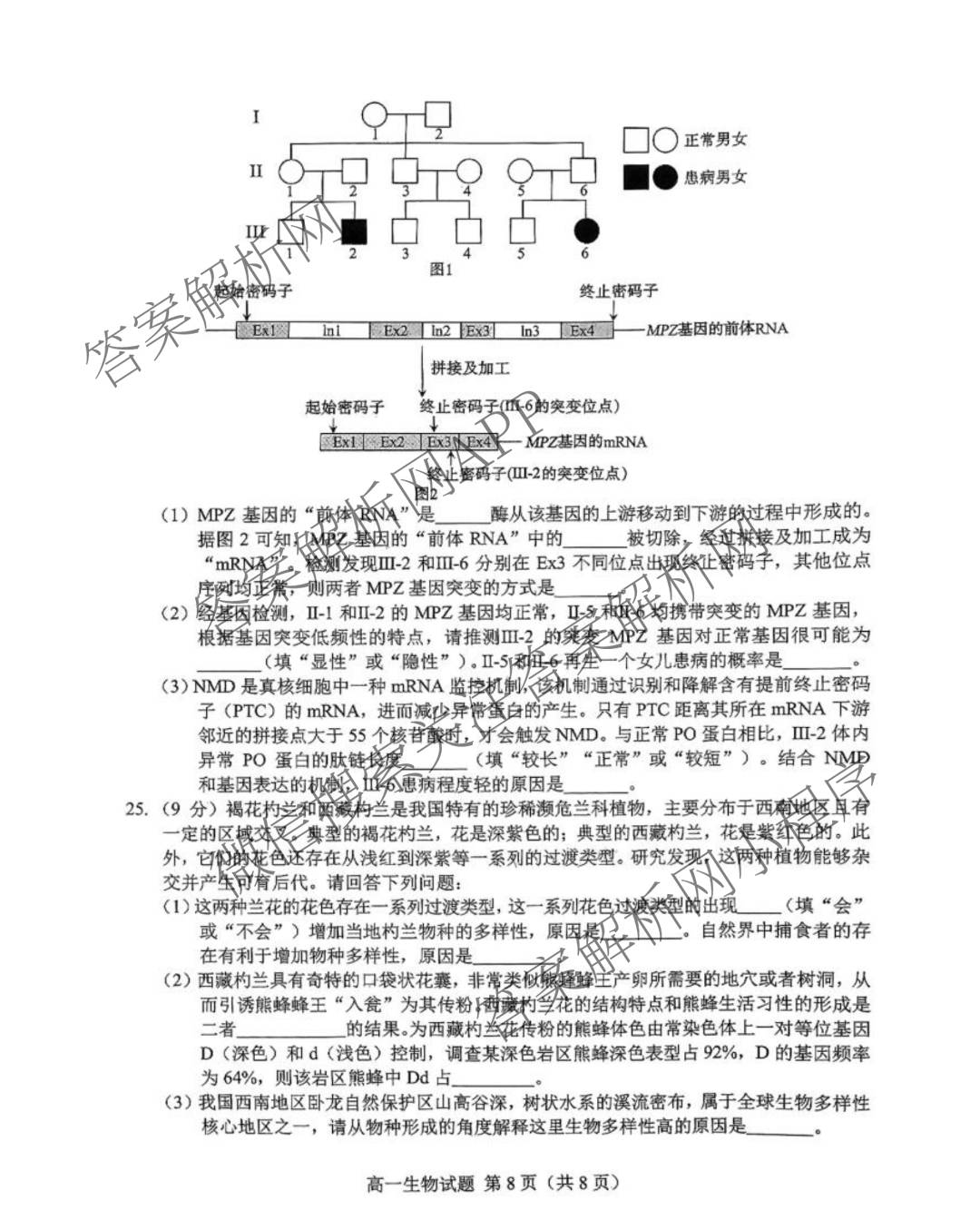 山东省菏泽市2024-2025学年高一下学期教学质量检测(2025.07)试卷及答案汇总（9科全）生物试题