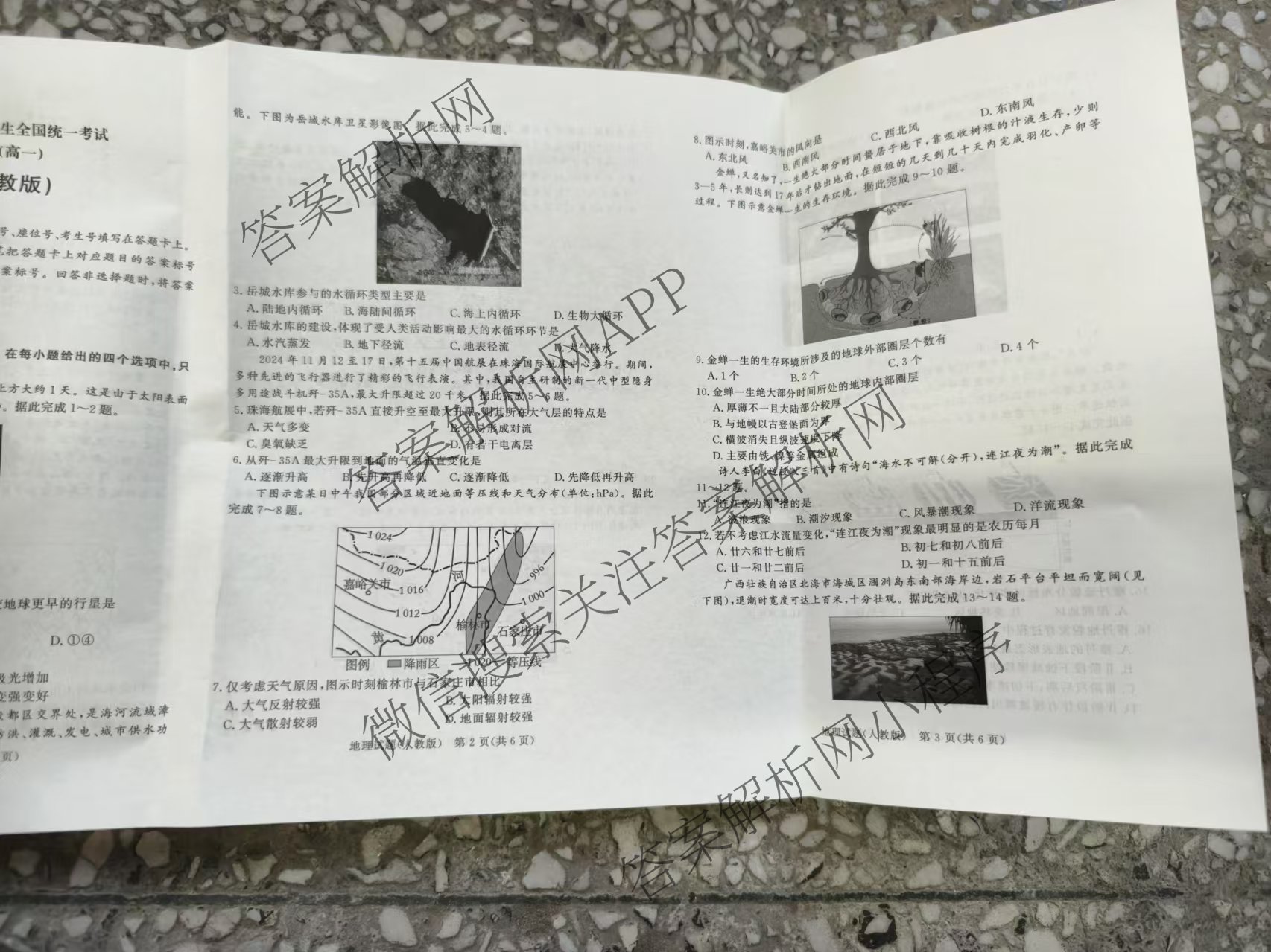 2027届普通高等学校招生全国统一考试青桐鸣大联考(高一)(12月)各科答案及试卷(已更新物理 化学(人教版) 地理(人教版)等11份)地理试题