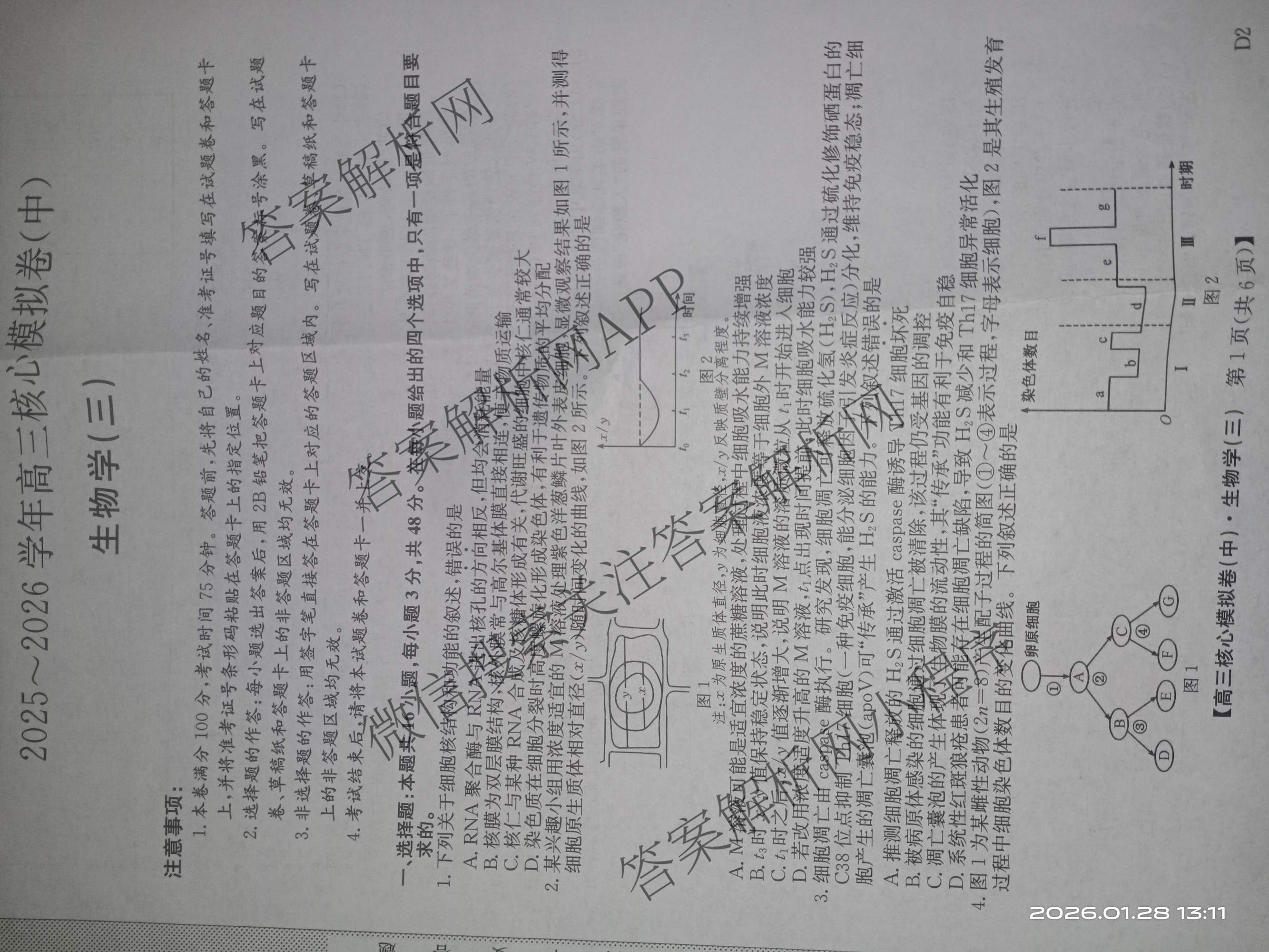 九师联盟2025~2026学年高三核心模拟卷(中)(三)3（含化学(D3)、历史(A1)、历史(A2)等）生物试题