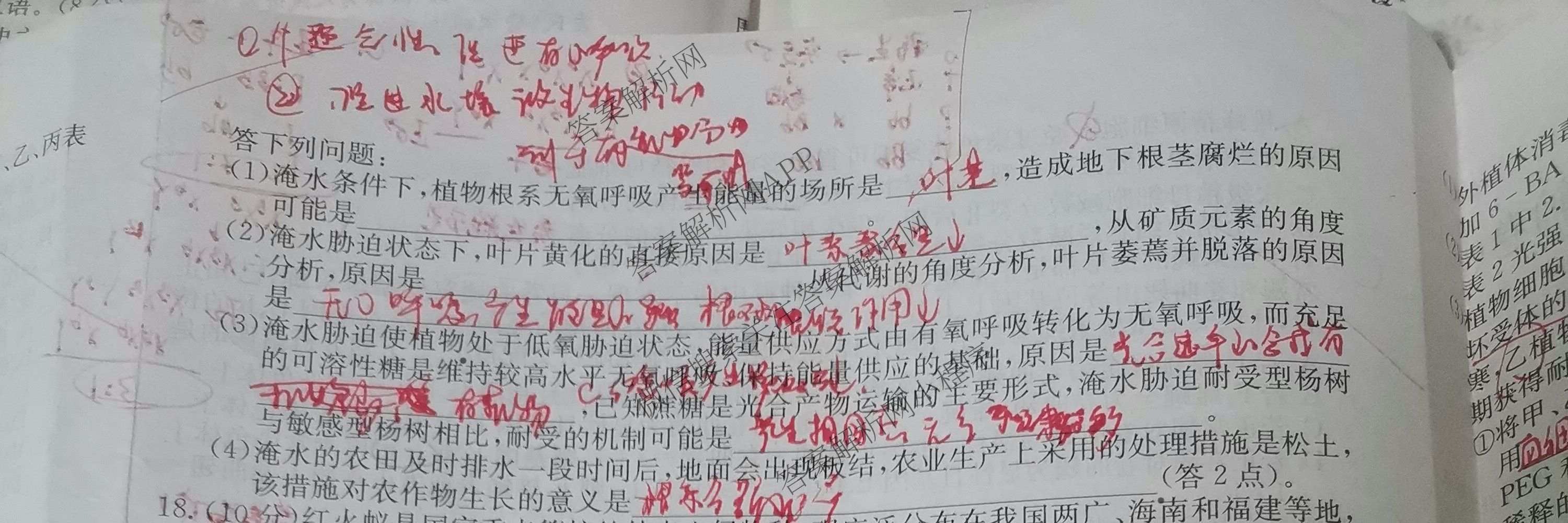 2026年全国高考冲刺压轴卷(二)2（含地理(河南) 地理(湖南) 物理(湖南)等67份）生物试题