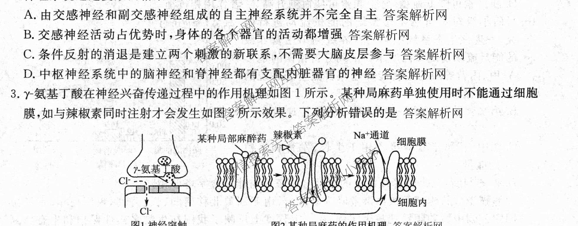 衡水金卷先享题月考卷2025-2026学年度上学期高二年级期末考试（含化学(人教版) 数学(人教版) 政治等9份）生物试题