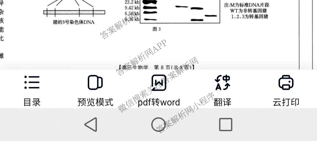 2025届山西、陕西、宁夏、青海四省区普通高中新高考高三质量检测(4.10)（含生物(B卷)、政治(A卷)、历史(B卷)等）生物试题