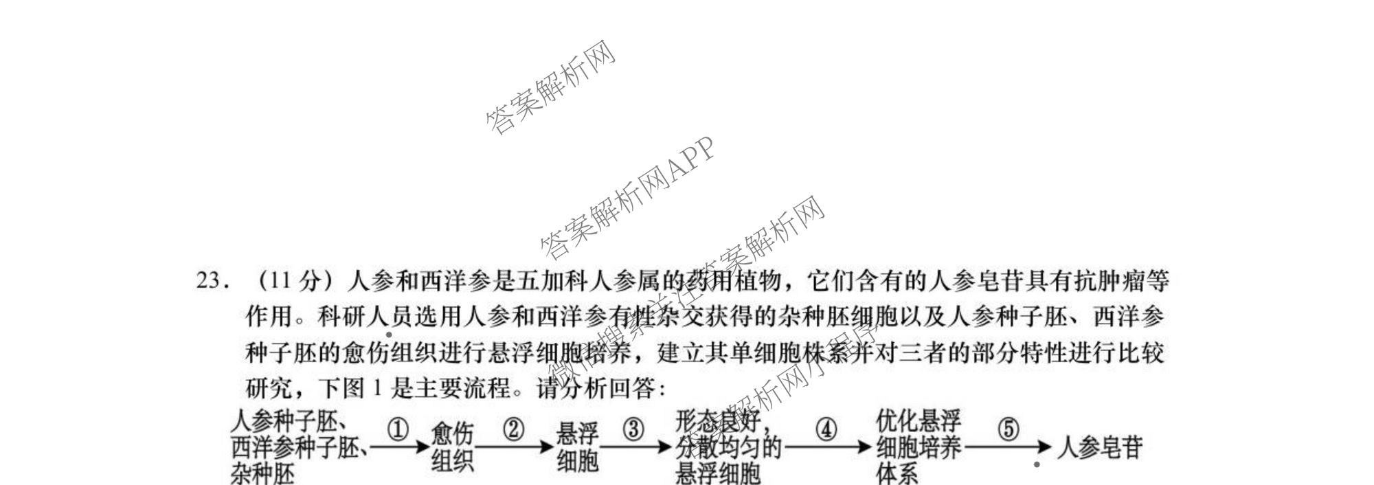 江苏省如皋市2025-2026学年度高三年级第一学期教学质量调研(一)试卷及答案汇总(9科全)生物试题 江苏省如皋市2025-2026学年度高三年级第一学期教学质量调研(一)试卷及答案汇总(9科全)生物试题