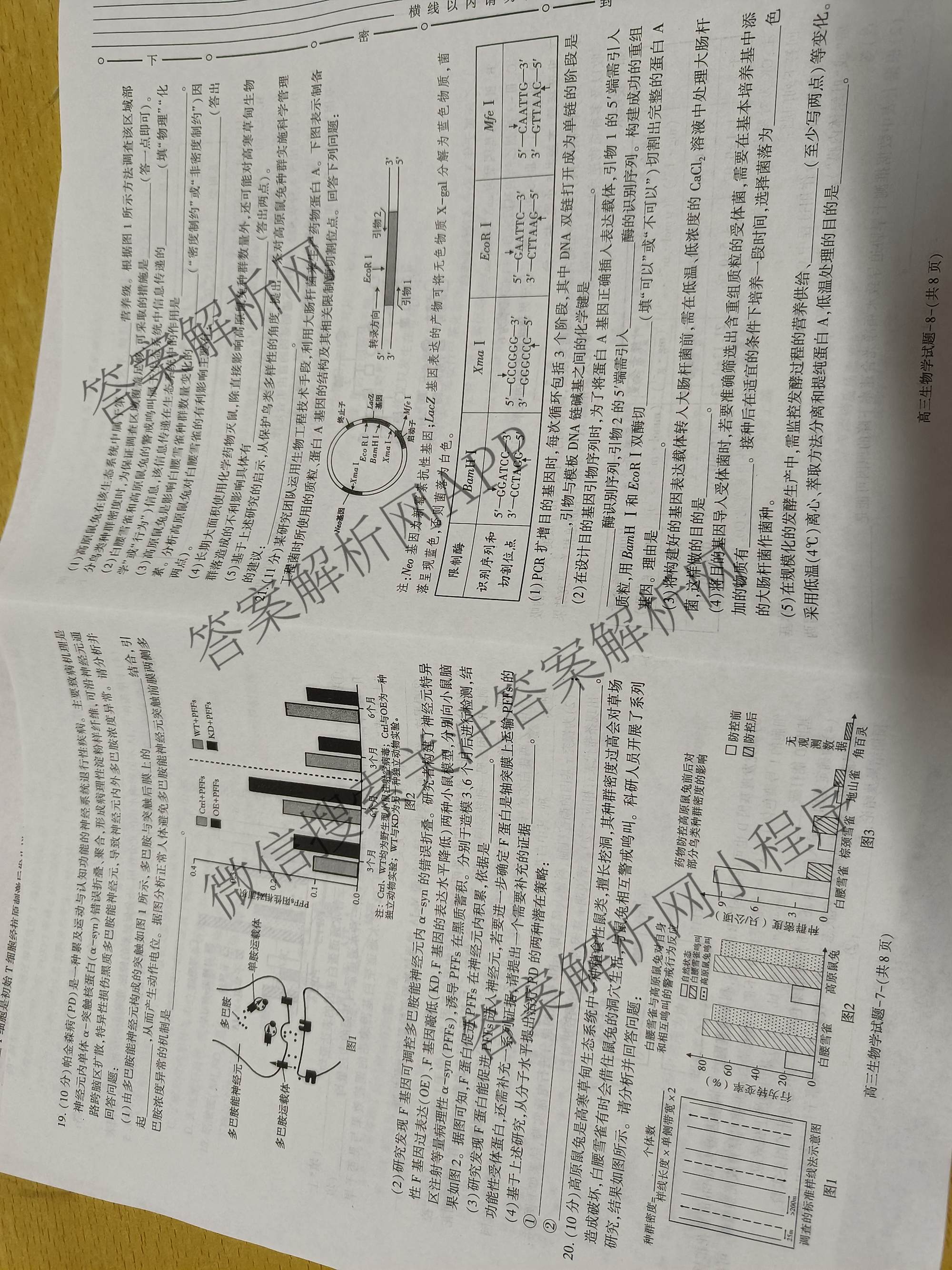 陕西省商洛市2027届高三学情调研试题(卷)各科答案及试卷（9科全）生物试题