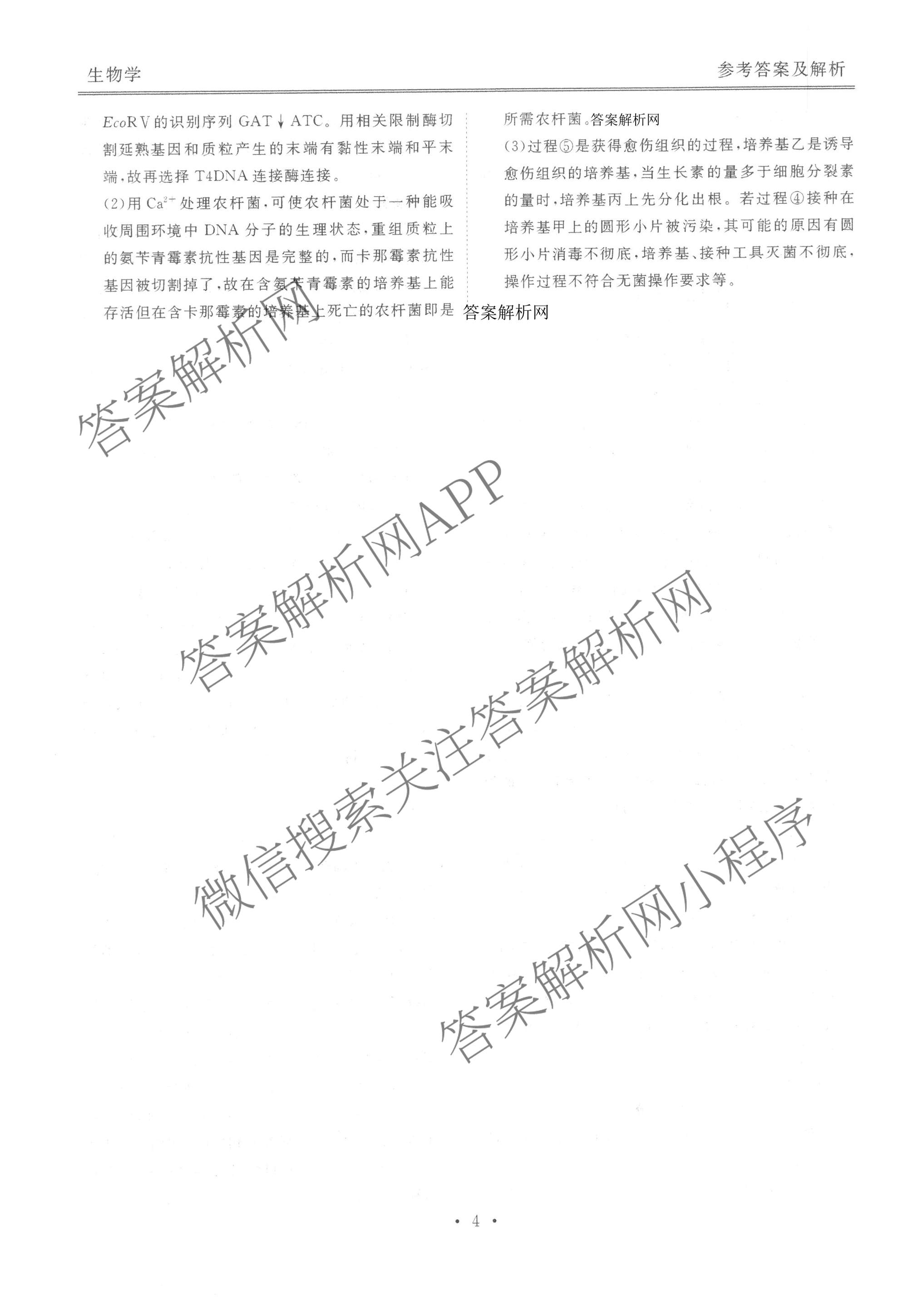 衡水金卷2025-2026学年度高三年级适应性测试(一)各科答案及试卷（含政治、英语、语文等）生物答案
