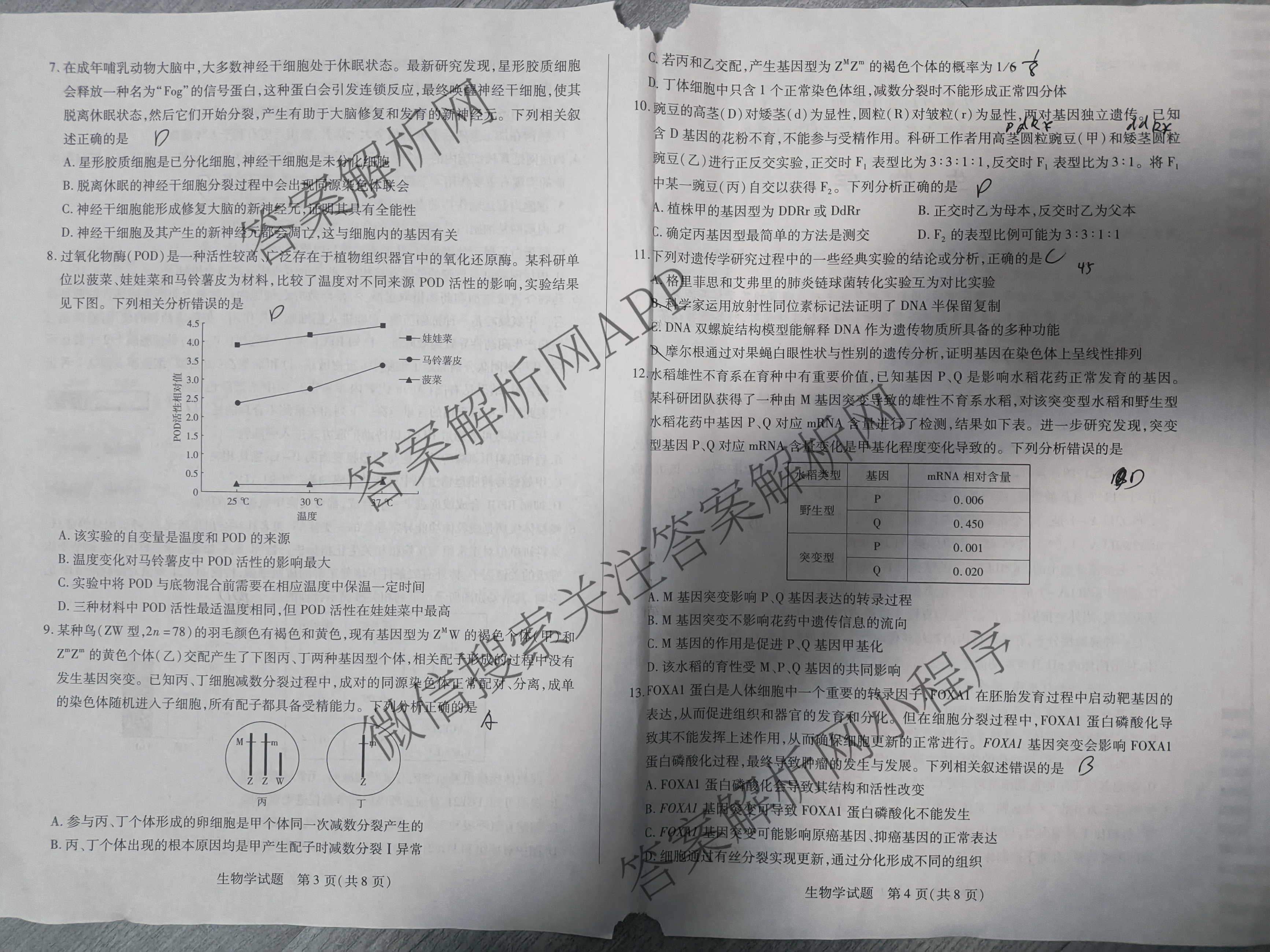 安徽卓越县中联盟2024-2025学年上学期高三年级期中联考各科答案及试卷（含物理 数学 语文等9份）生物试题