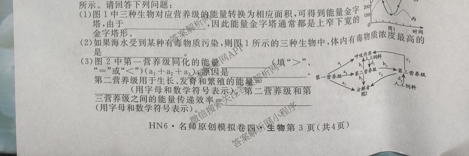 2026届高三总复习名师原创模拟(四)4试卷及答案汇总: 含政治(新S6J) 历史(新S6J) 语文(XS6J)试卷解析生物试题
