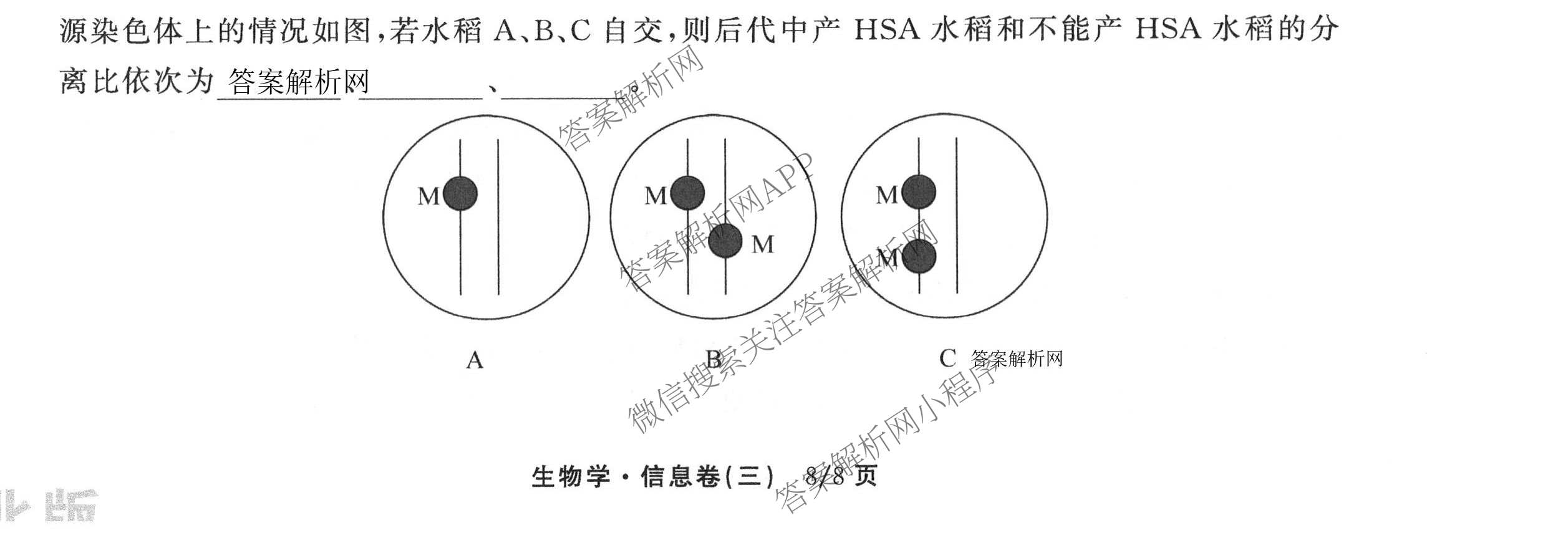 天舟高考衡中同卷2026年普通高等学校招生全国统一考试模拟信息卷(三)3（含历史(HJ) 地理(GY) 数学(无字母)等）生物试题