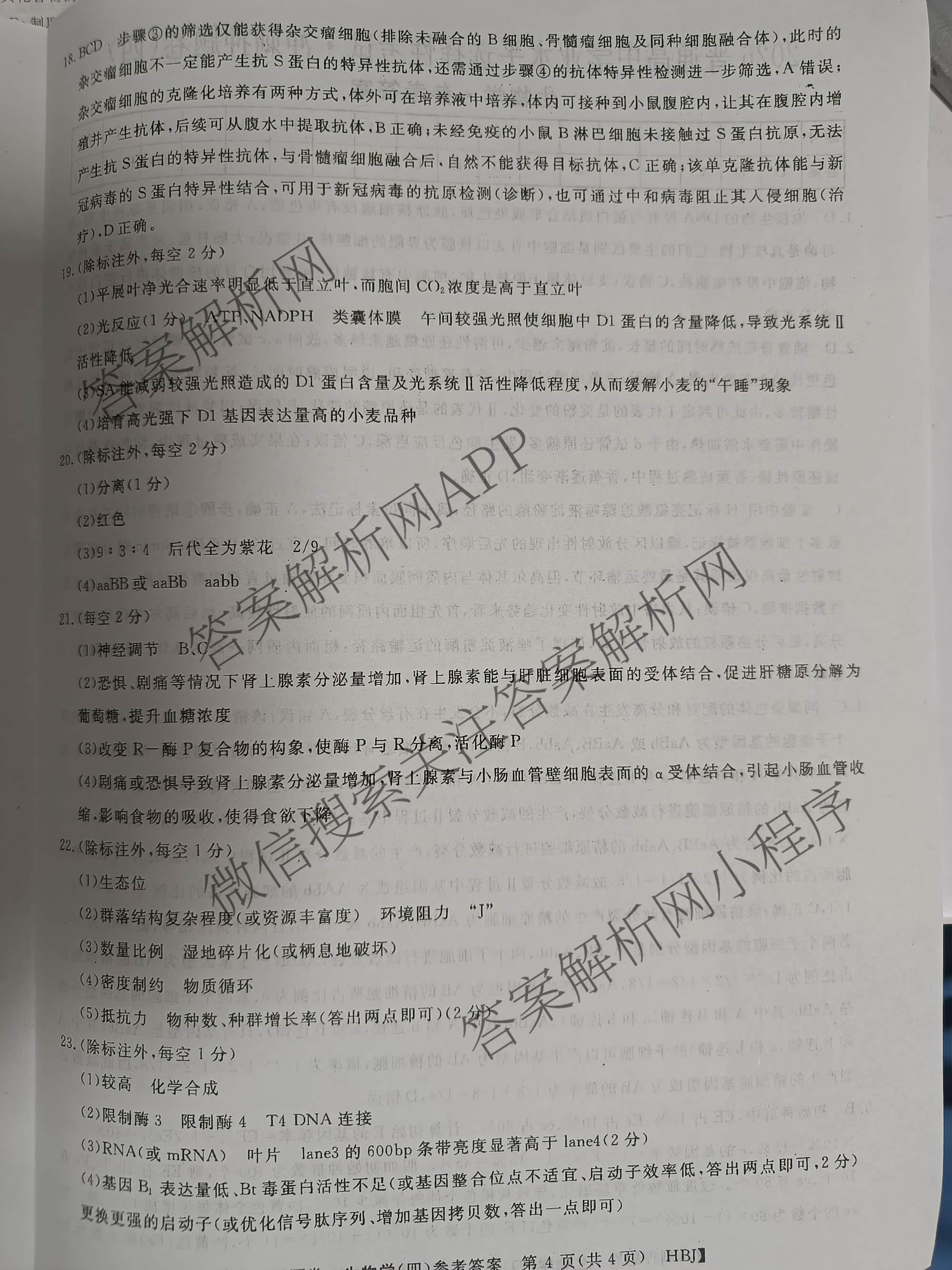 2026普通高等学校招生全国统一考试冲刺押题卷(四)4各科答案及试卷（16科全）生物答案