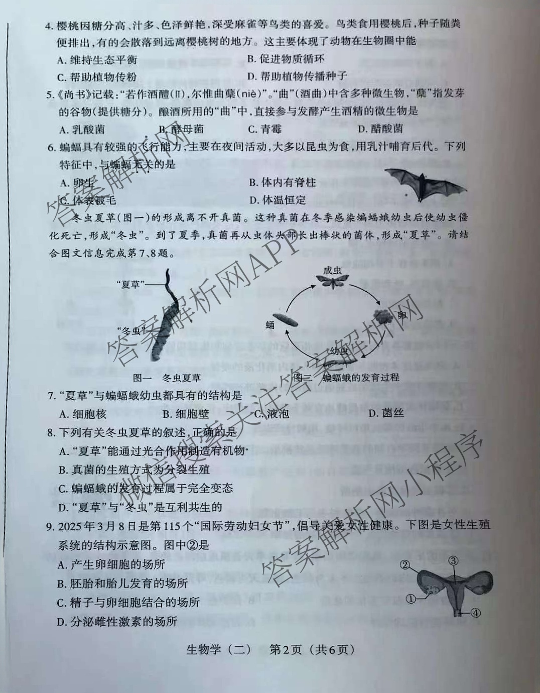 晋文源2025山西八年级中考模拟百校联考试卷(二)试卷及答案汇总（含英语、文综、地理等）生物试题