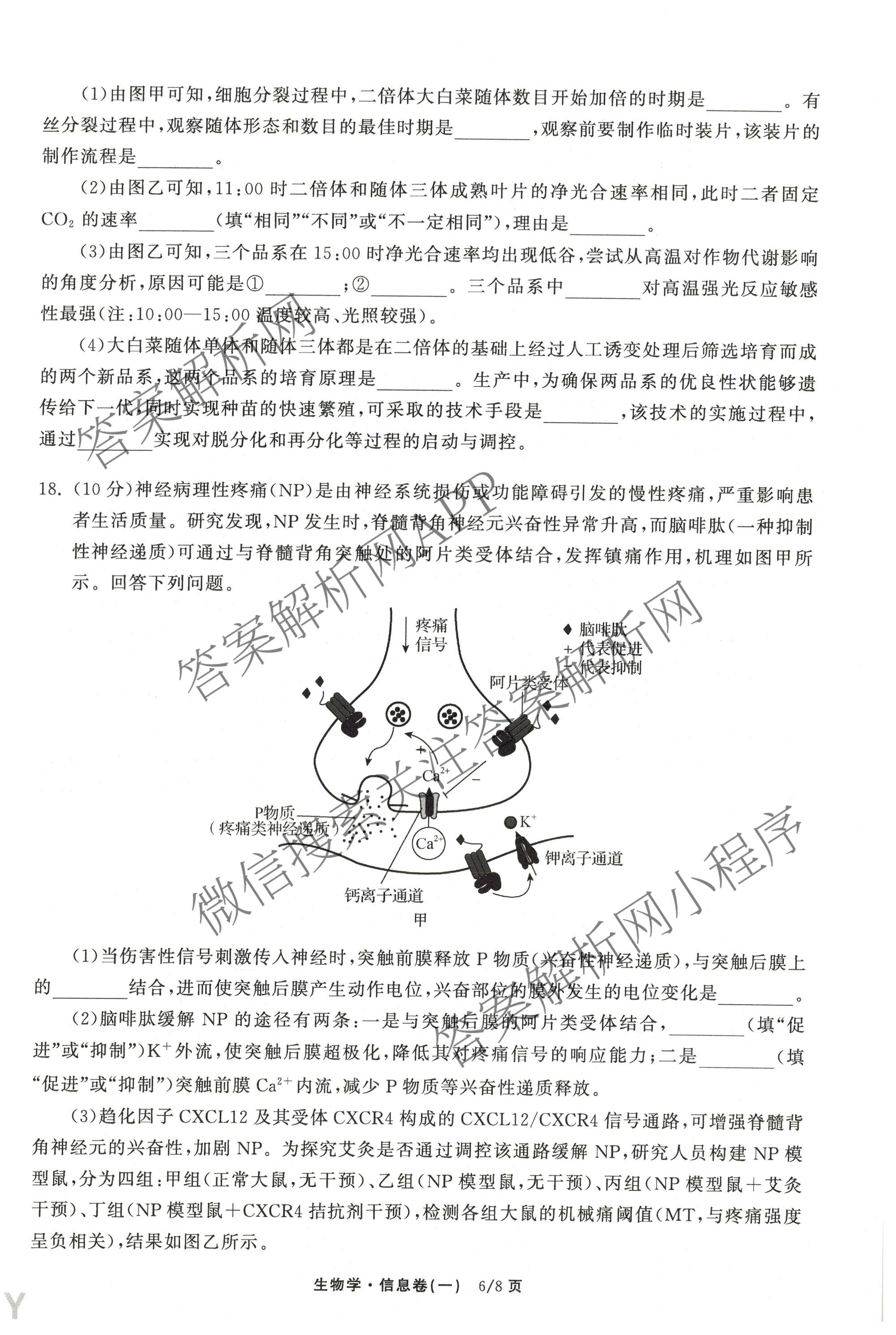 天舟高考衡中同卷2026年普通高等学校招生全国统一考试模拟信息卷(一)1各科答案及试卷（含历史(WS)、政治(XB)、物理(安徽版)等）生物试题