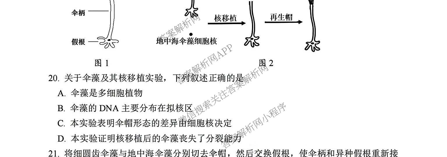 湖州市2025学年第一学期期末调研测试卷高一各科答案及试卷（9科全）生物试题