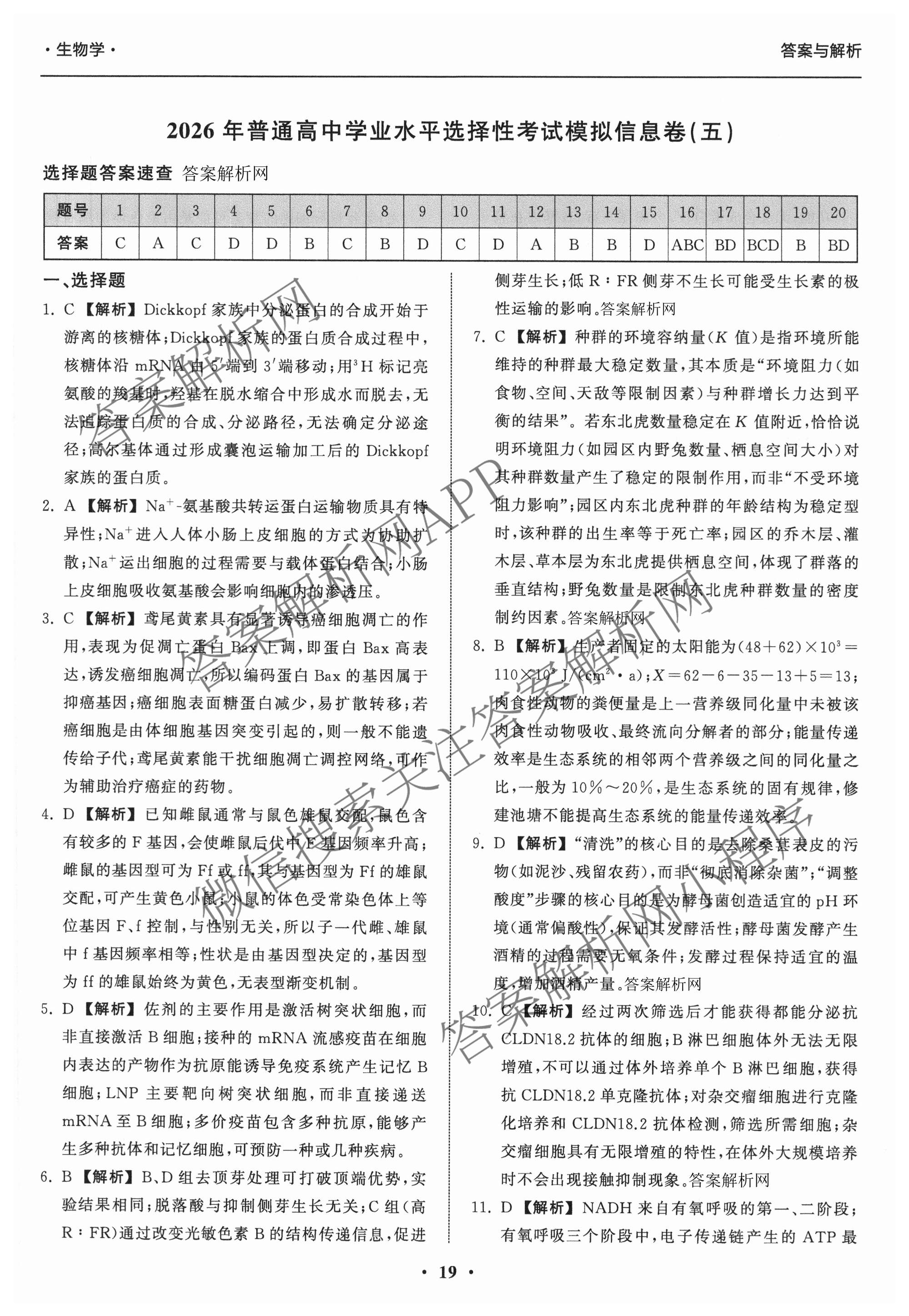 天舟高考衡中同卷2026年普通高等学校招生全国统一考试模拟信息卷(五)5试卷及答案汇总（含化学(WG)、化学(WY)、物理(山东版)等）生物答案