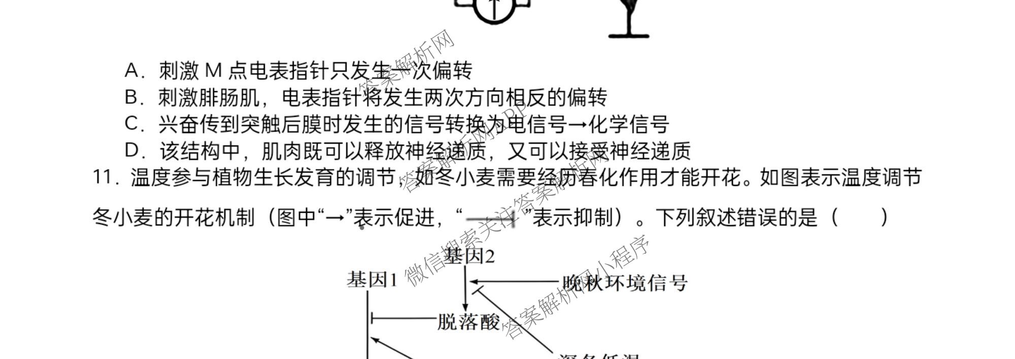 字节精准教育联盟MYS高中2023级第一次诊断性考试模拟试题（10科全）生物试题