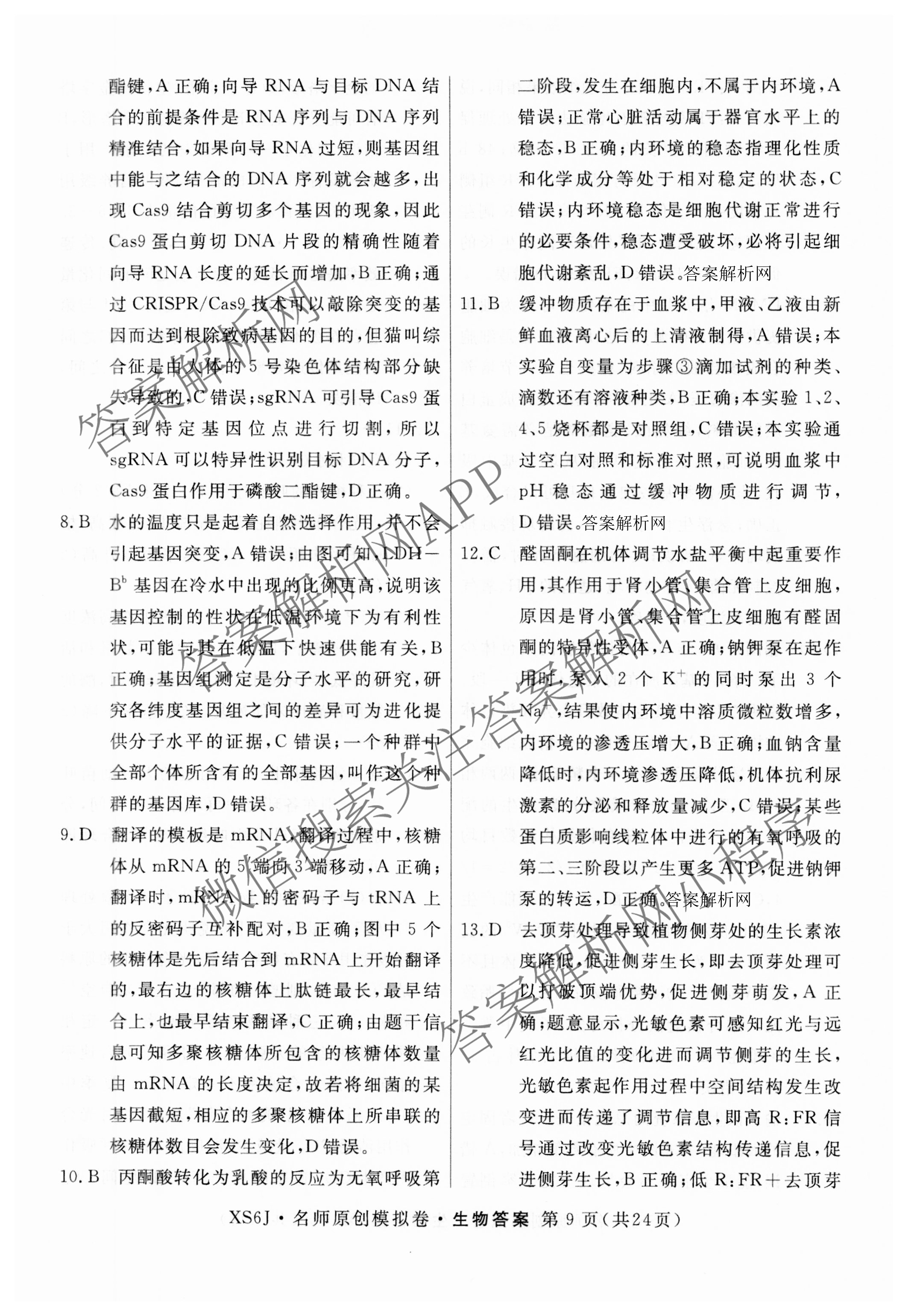 2026届高三总复习名师原创模拟(三)3各科答案及试卷（含地理(XS6J) 物理(XS6JG) 物理(HN6)等）生物答案
