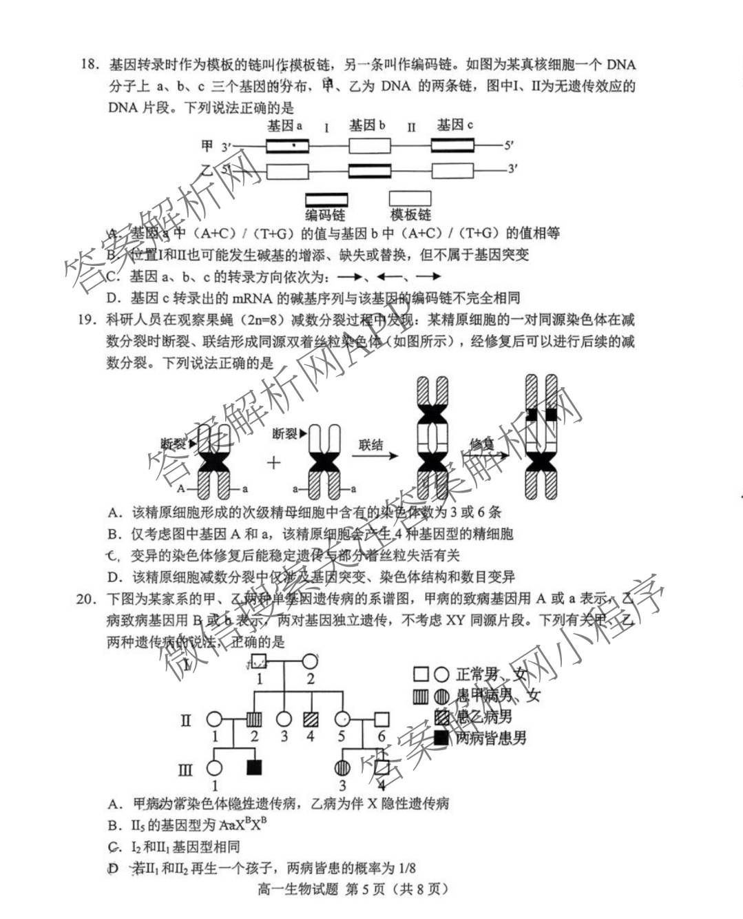 山东省菏泽市2024-2025学年高一下学期教学质量检测(2025.07)试卷及答案汇总（9科全）生物试题