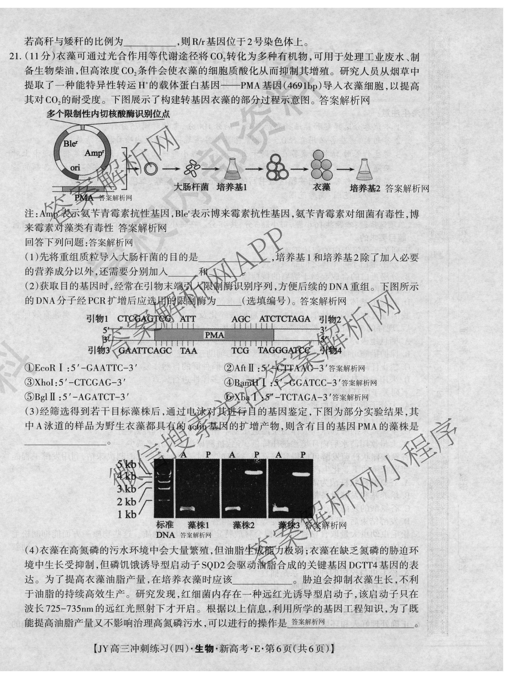 2026年普通高等学校招生统一考试JY高三冲刺练(四)试卷及答案汇总（9科全）生物试题