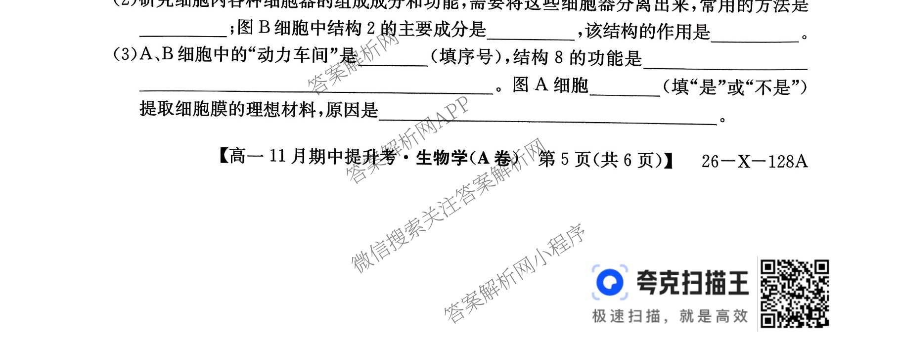 三晋卓越联盟2025~2026学年高一11月期中提升考(26-X-128A)（17科全）生物试题