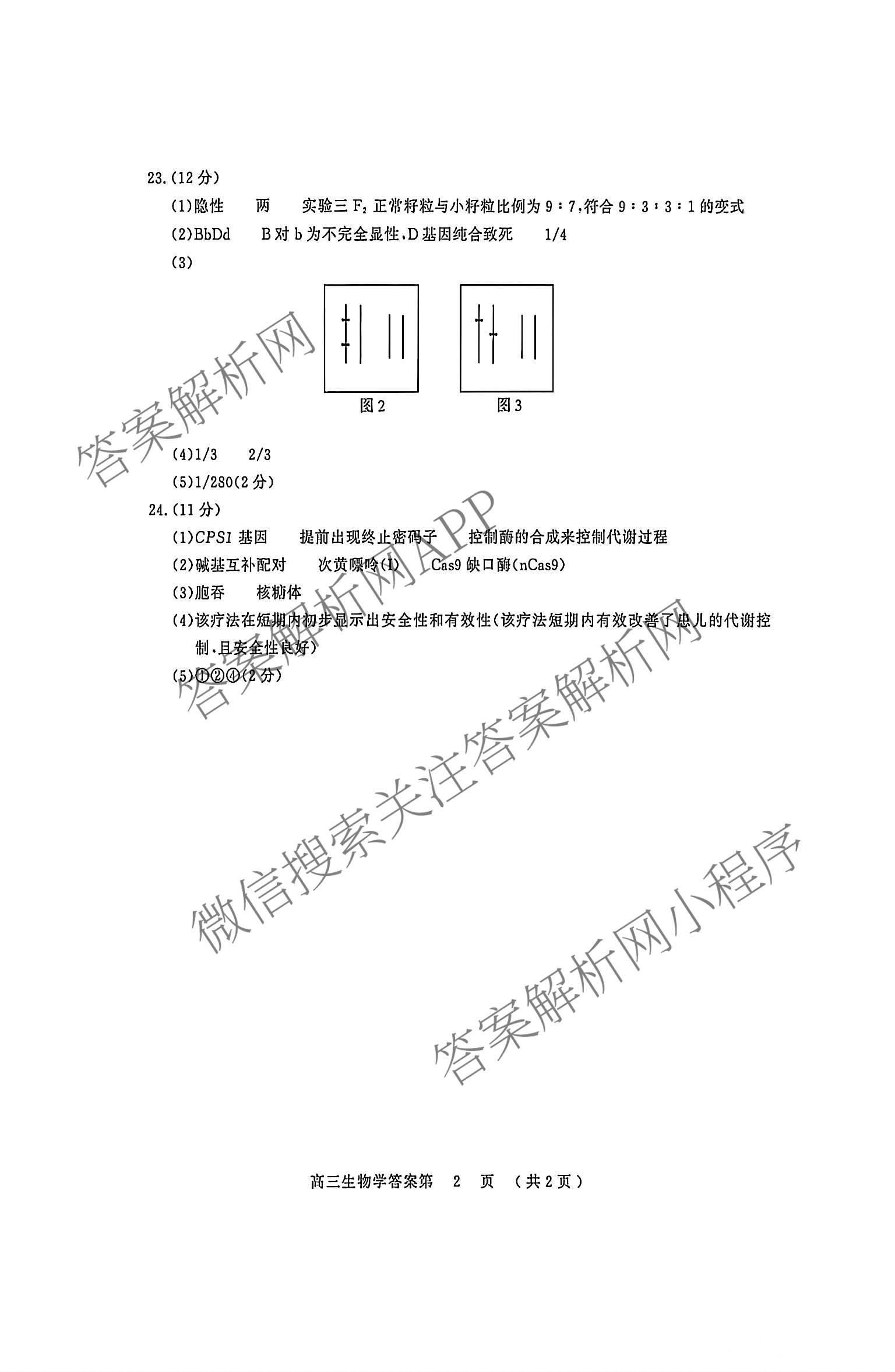 江苏省南京市2027届高三年级学情调研2026.09（9科全）生物答案