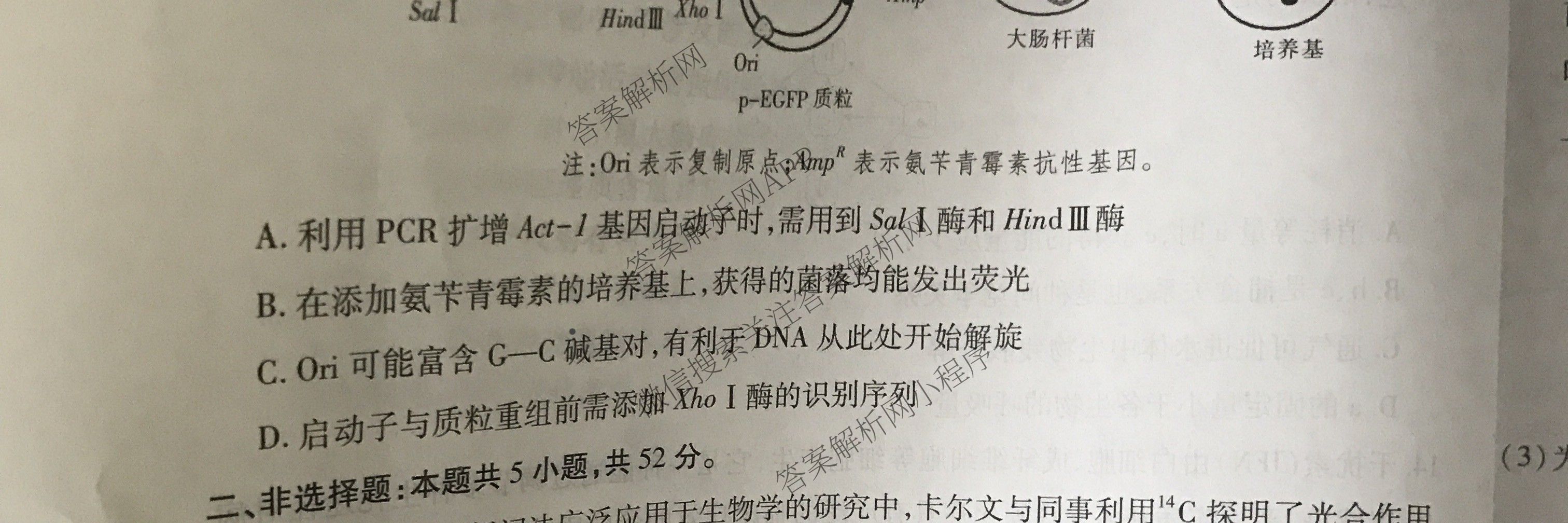 贵州天之王教育2025届贵州新高考高端精品冲刺卷(五)各科答案及试卷（含化学 地理 英语等）生物试题
