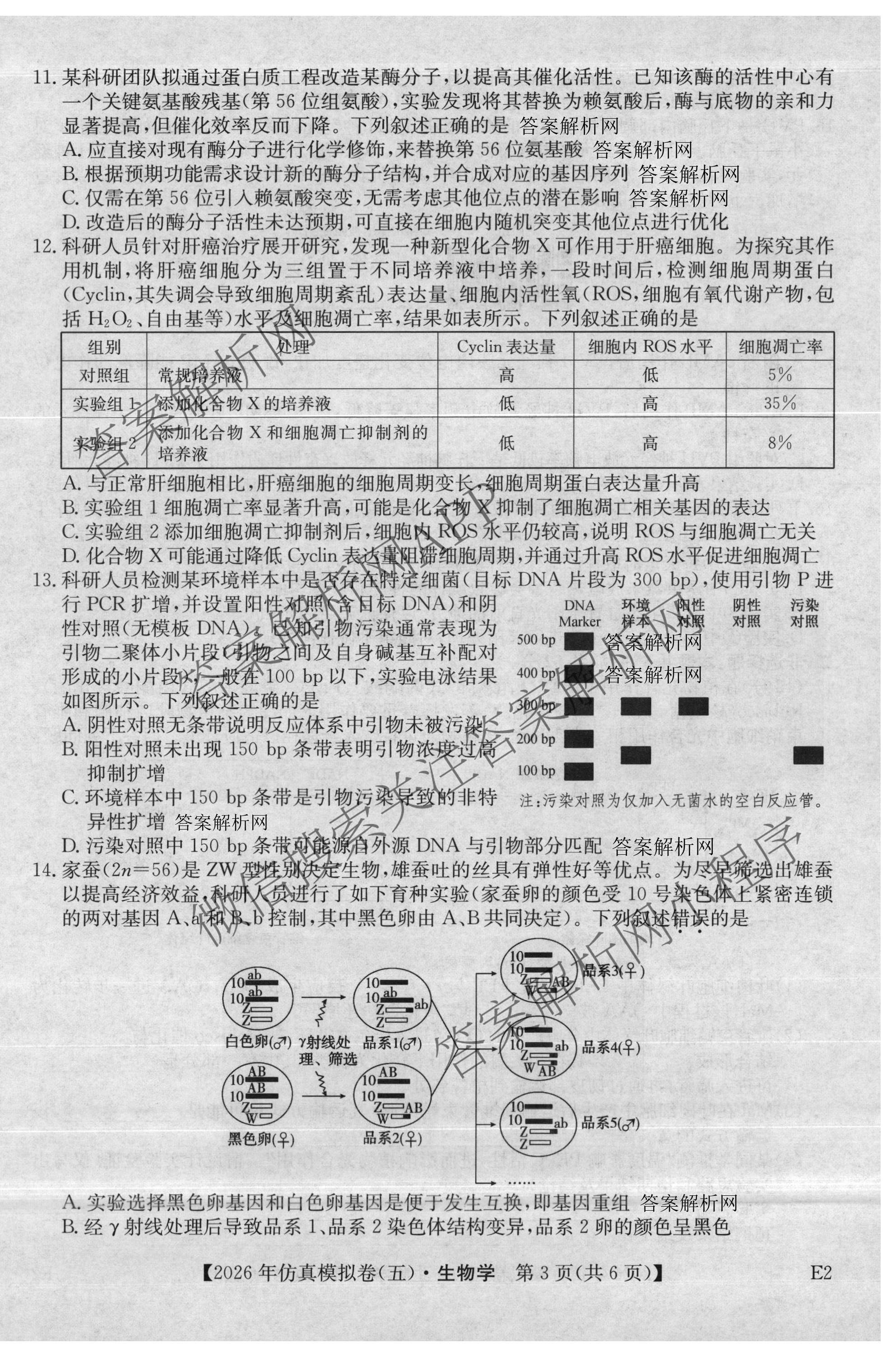 2026年全国高考仿真模拟卷(五)5（含英语、生物(E2)、物理(广西)等35份）生物试题