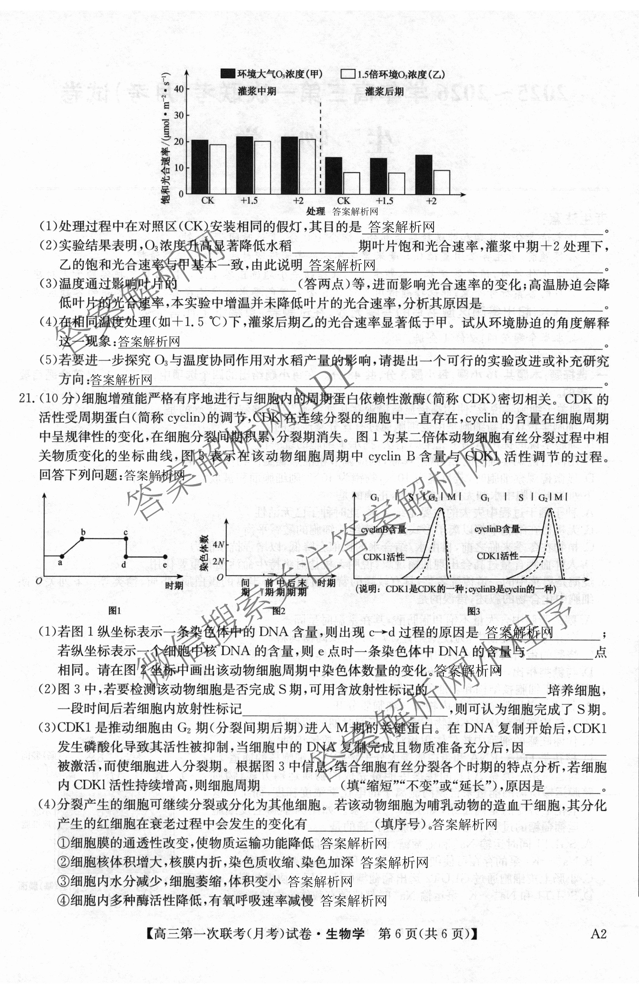 全国名校大联考2025~2026学年高三第一次联考(月考)试卷及答案汇总（含历史(河南)、化学(A2)、物理(A1)等）生物试题