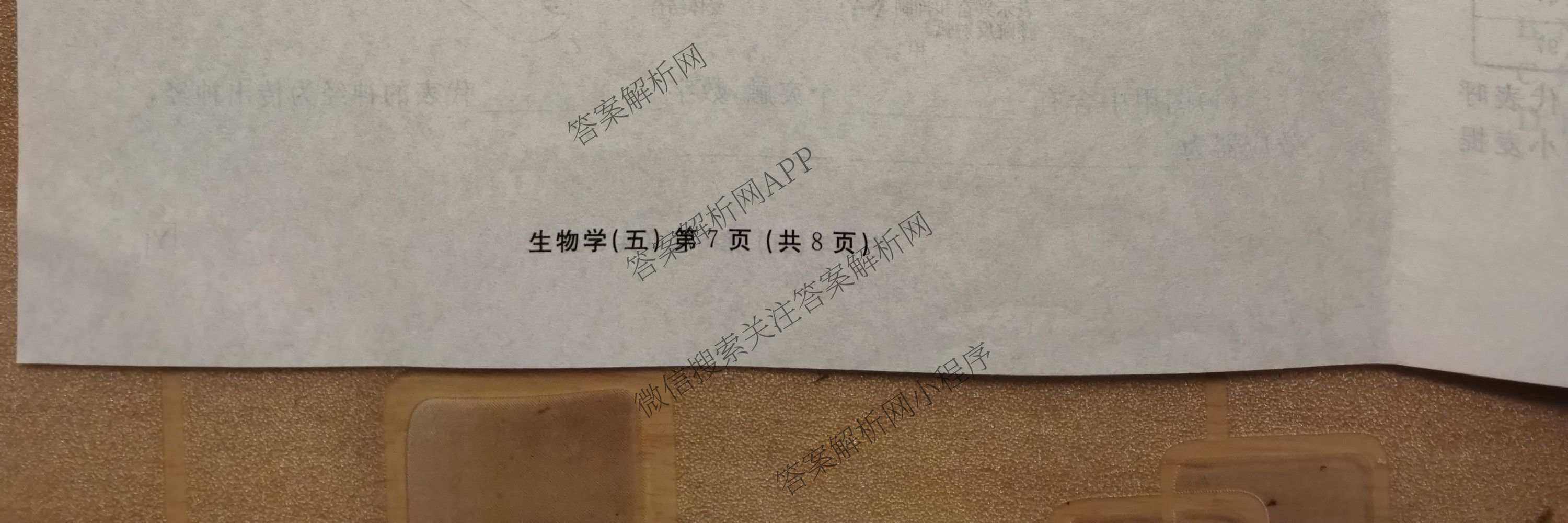 衡水金卷先享题2026年学科素养评价练(五)5(已更新地理(HJ)【河北专版】、地理(HN)【湖南专版】、生物(CY)【四川重庆专版】等90份)生物试题