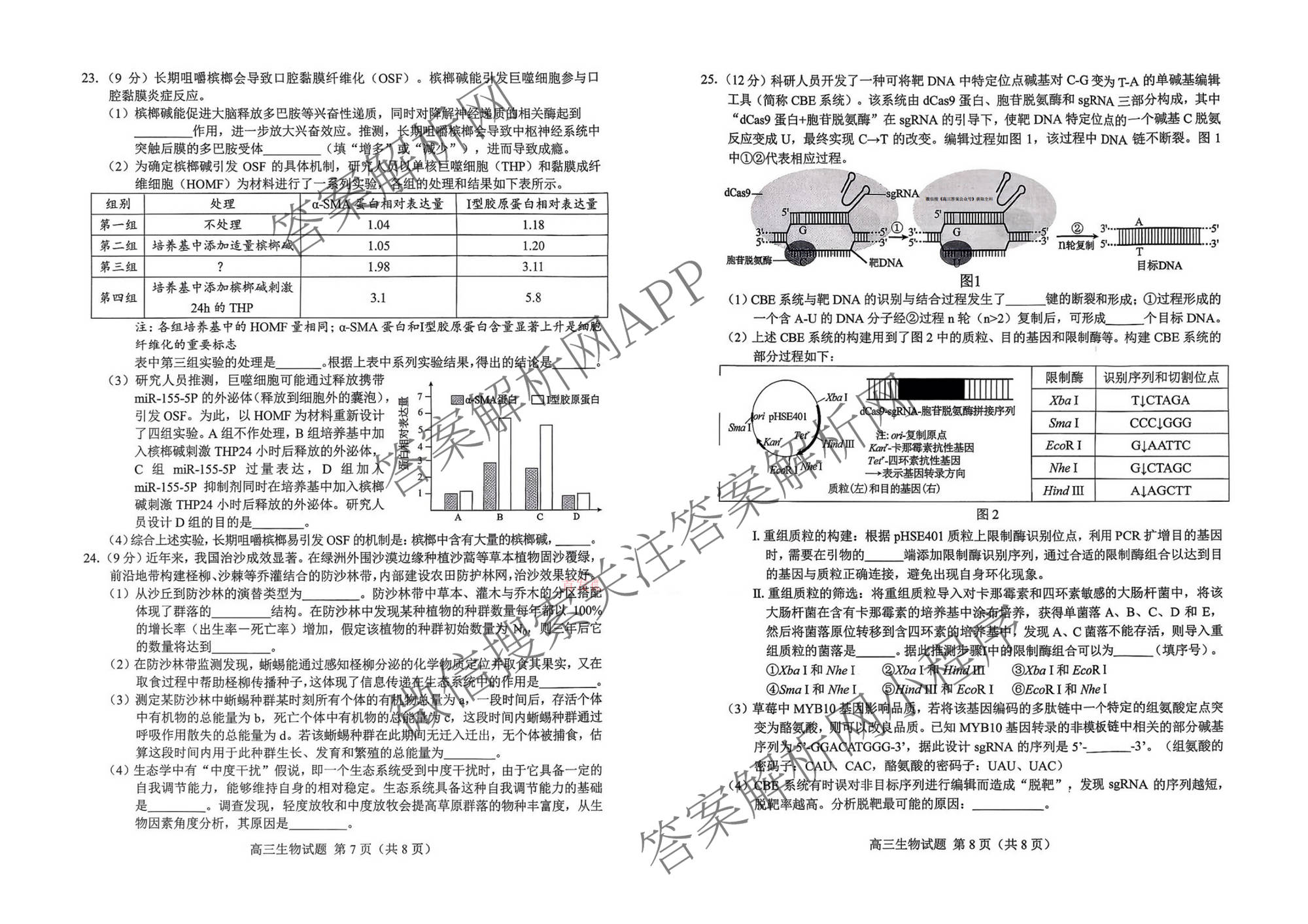 山东省菏泽市2026年高三一模考试模拟考试(2026.03)试卷及答案汇总: 含历史、化学、语文试卷解析生物试题