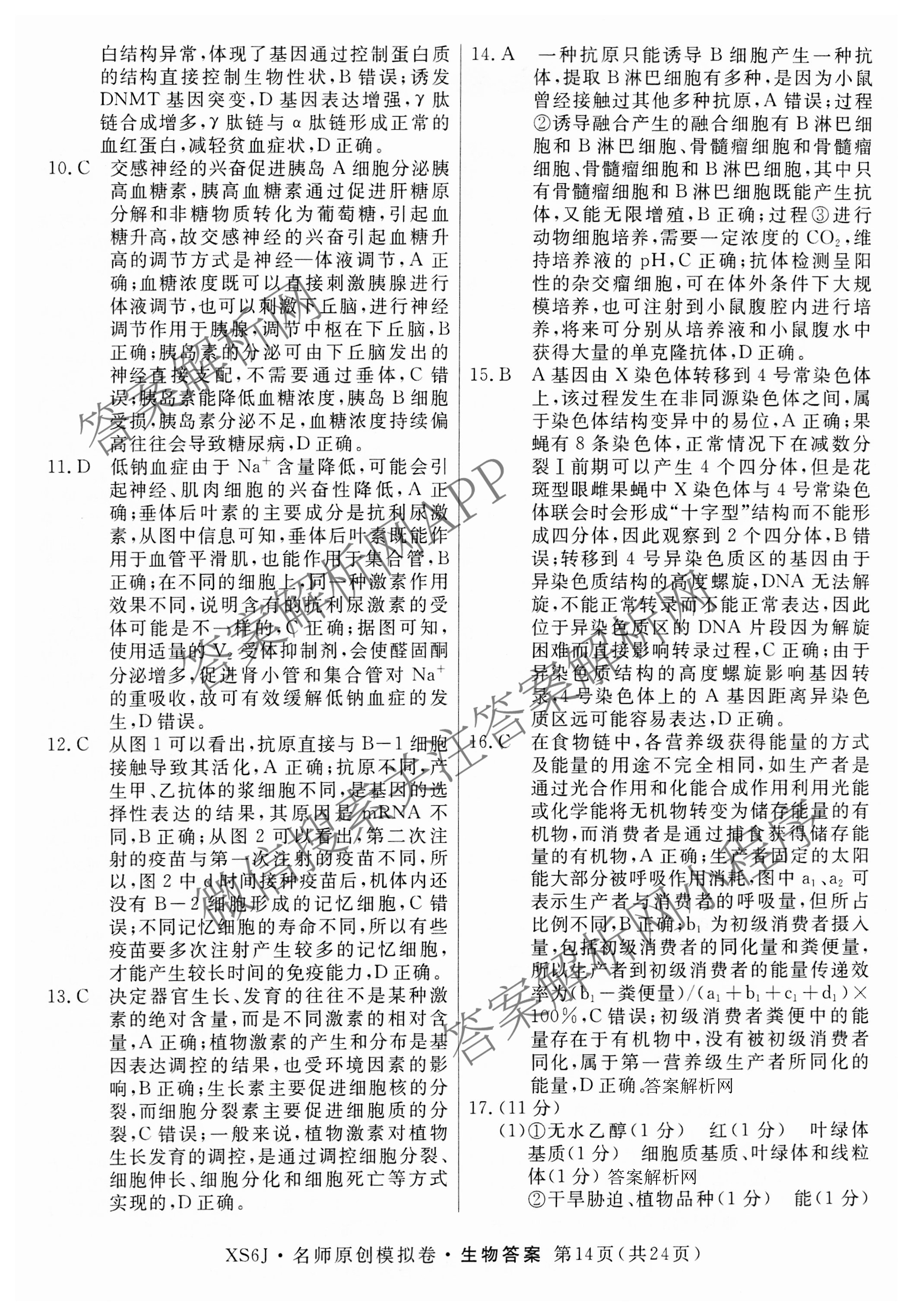 2026届高三总复习名师原创模拟(十)10各科答案及试卷: 含化学(XS6JG)、历史(CQX6)、物理(XS6J)试卷解析生物答案