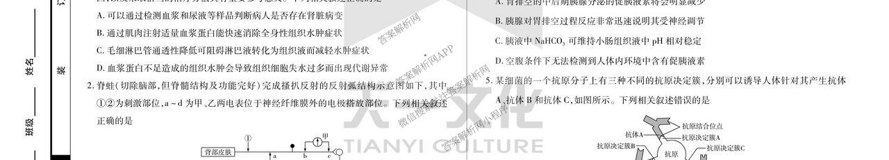 天一大联考2024-2025学年(下)安徽高二3月调研考试各科答案及试卷: 含数学、化学(池州专版)、生物试卷解析生物试题
