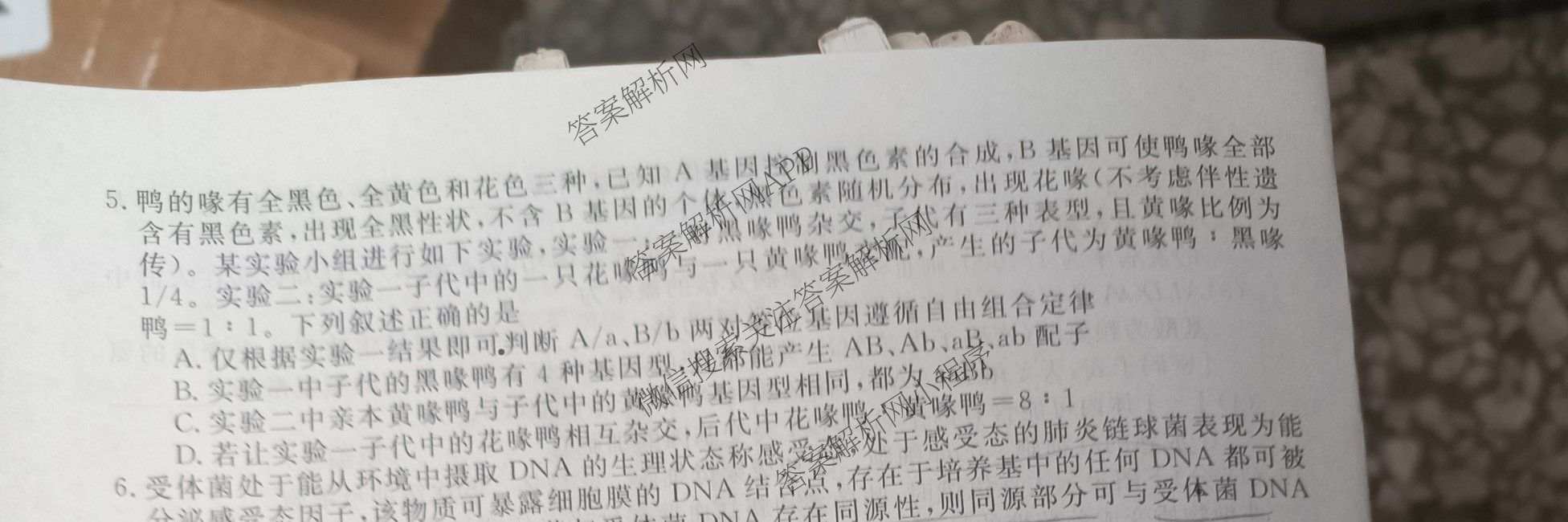 2025年普通高校招生考试冲刺压轴卷(一)1各科答案及试卷(已更新历史(K在括号外)、语文(X在括号外)、生物(A在括号外)等58份)生物试题