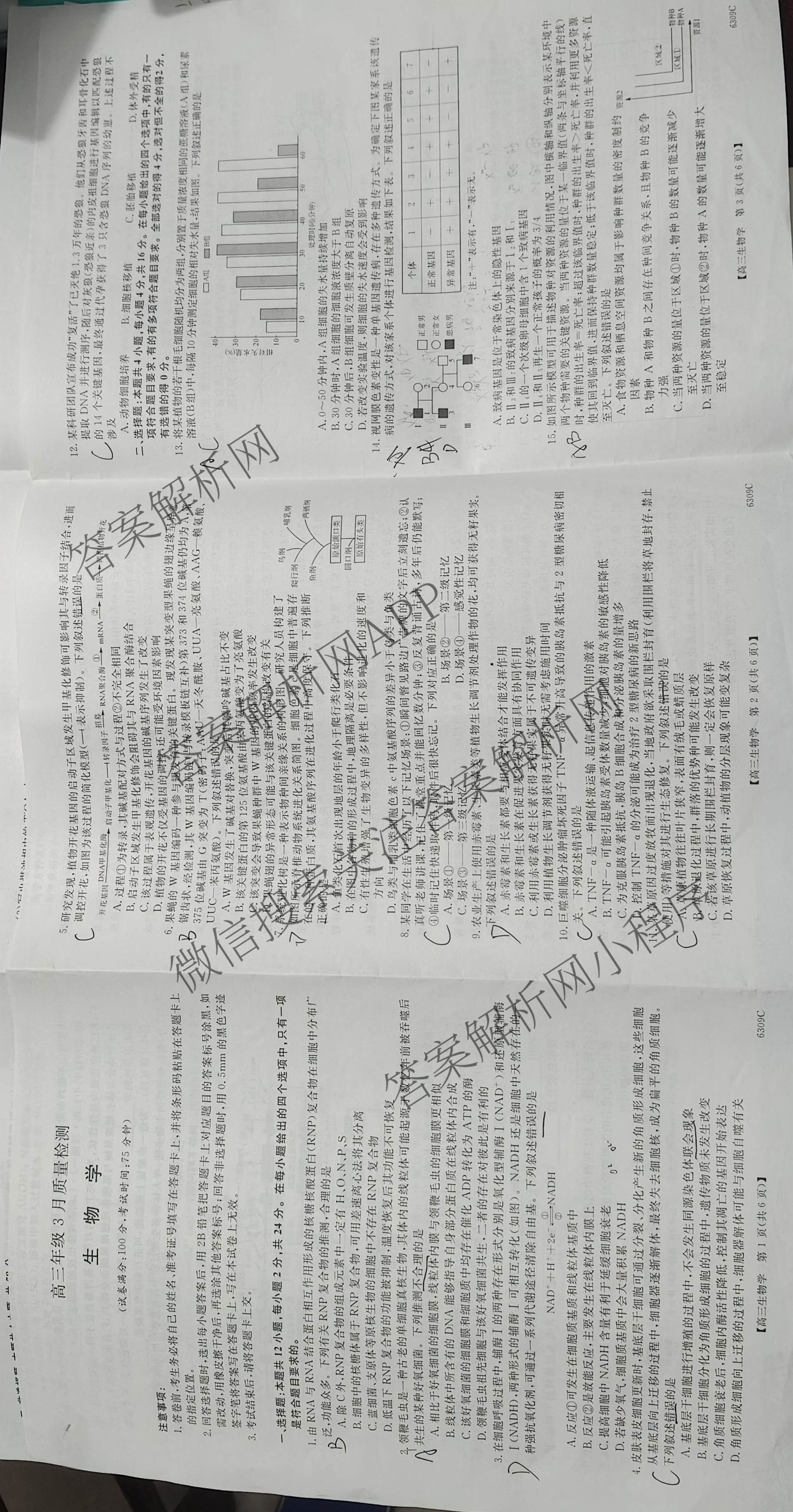 湖南省2026届高三年级3月质量检测(6309C)（9科全）生物试题
