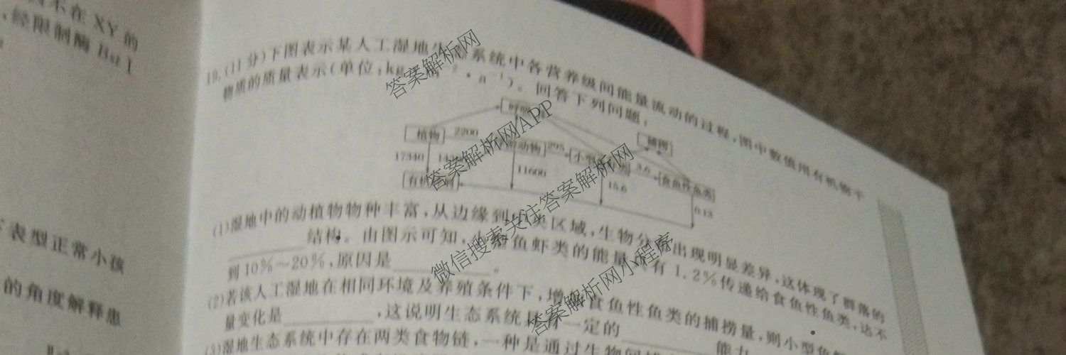 2026普通高等学校招生全国统一考试冲刺押题卷(六)6各科答案及试卷（含数学(A)、语文、生物(HBJ)等）生物试题