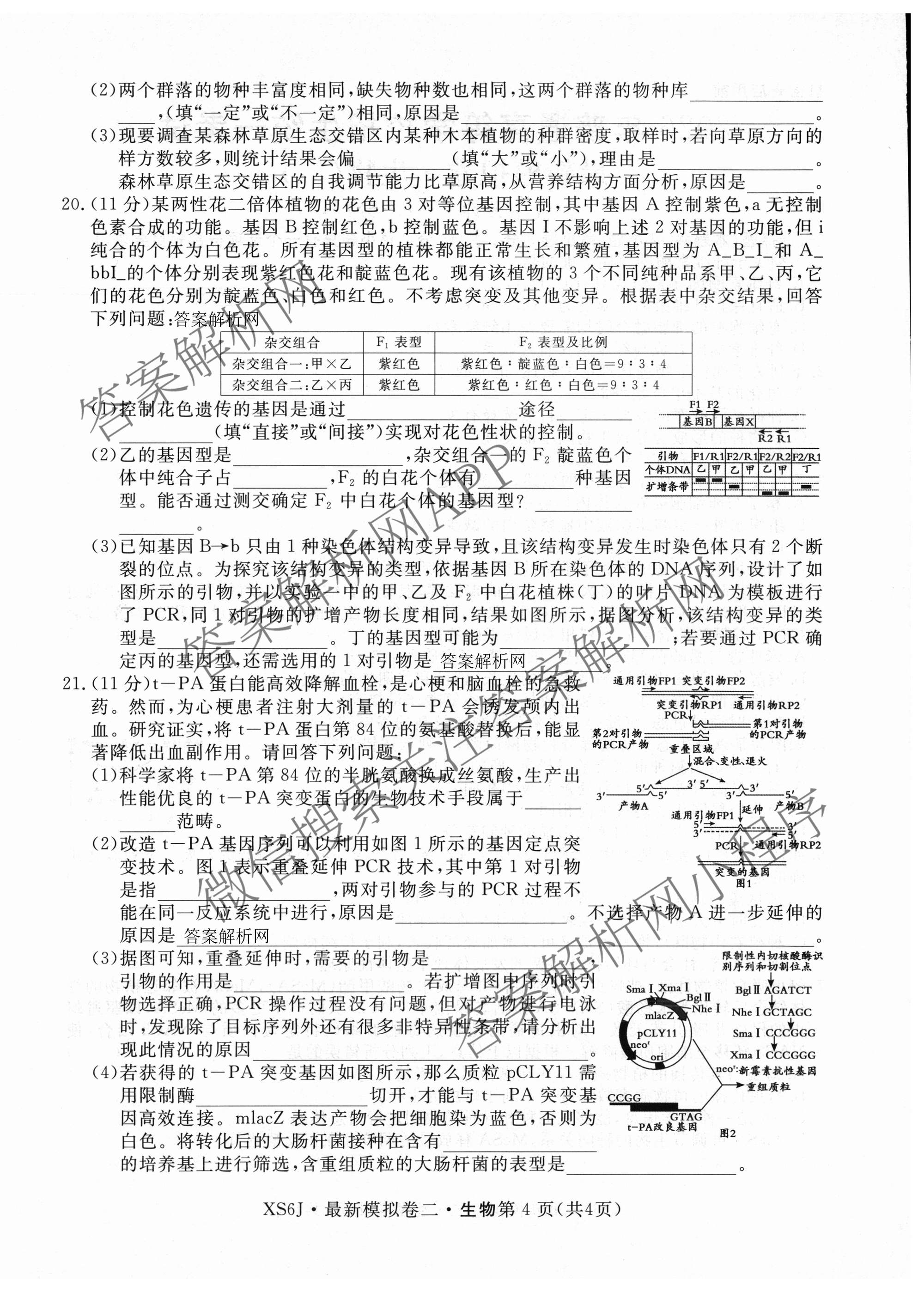 2026年普通高等学校招生统一考试最新模拟卷(二)2试卷及答案汇总（含生物(HB6) 生物(新S6J) 政治(新S6J)等）生物试题