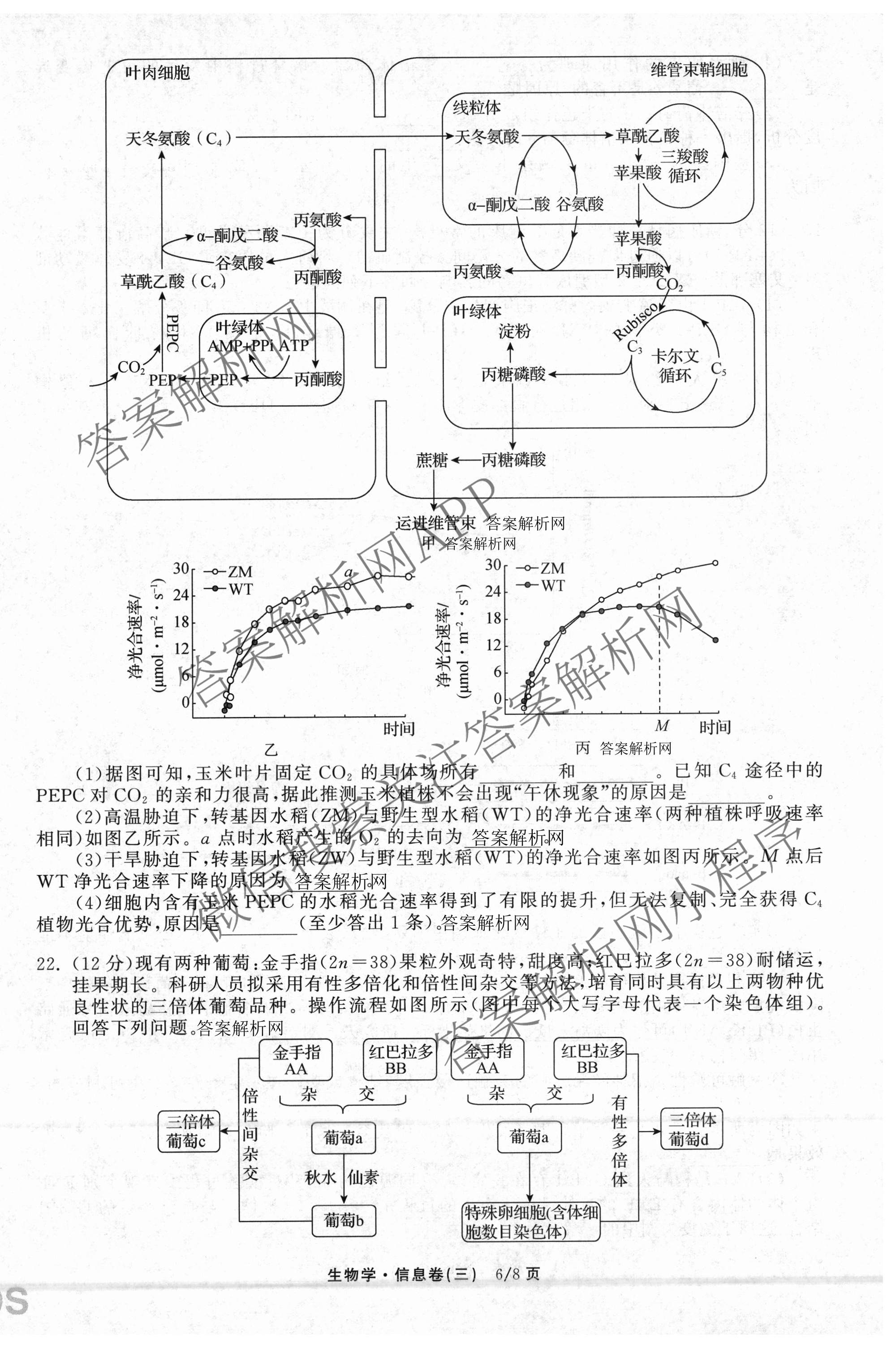 天舟高考衡中同卷2026年普通高等学校招生全国统一考试模拟信息卷(三)3（含历史(HJ)、数学(B)、文综(新疆版)等）生物试题