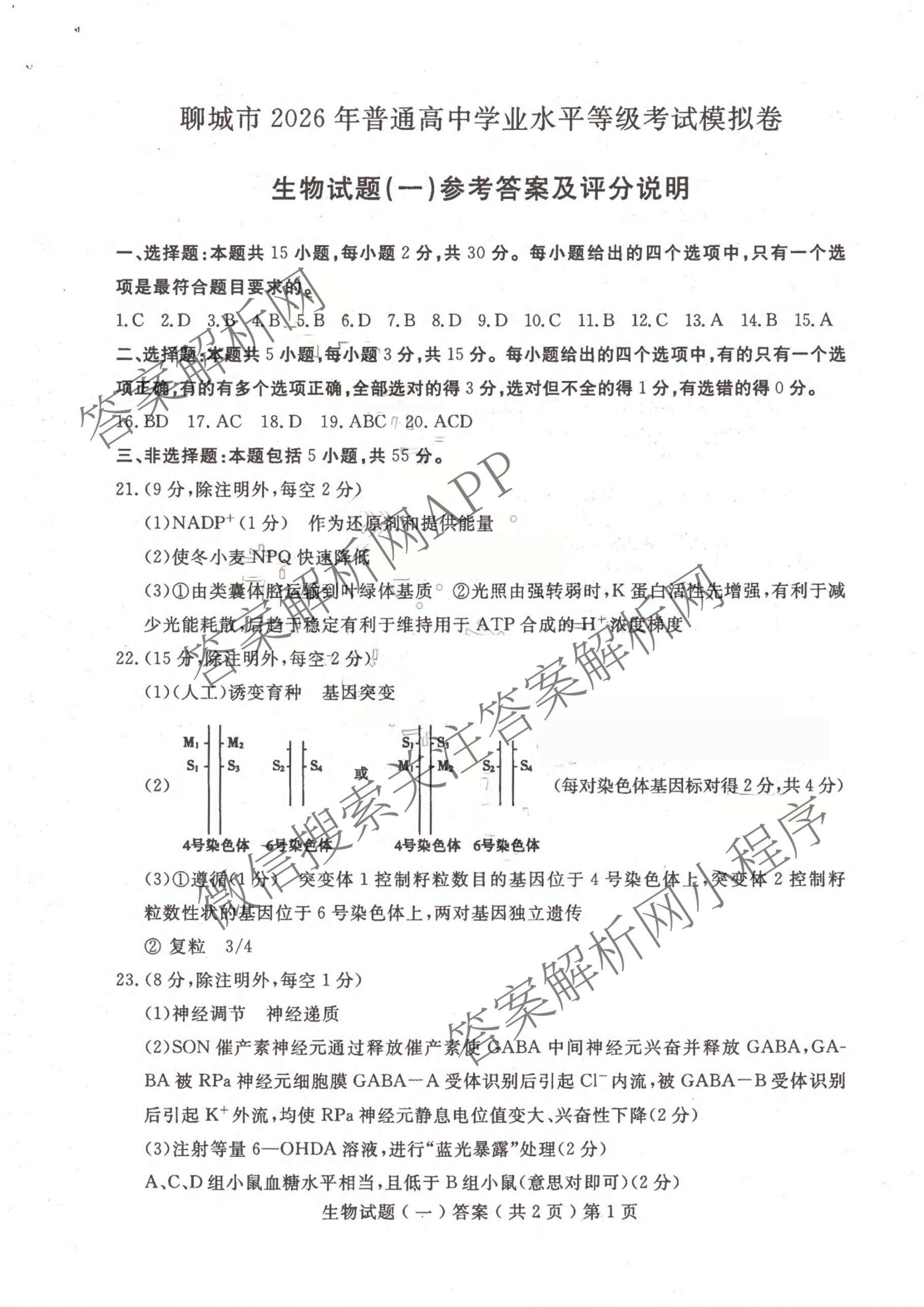 [聊城一模]山东省聊城市2026年高考模拟试题(一)各科答案及试卷（含化学 地理 语文等9份）生物答案