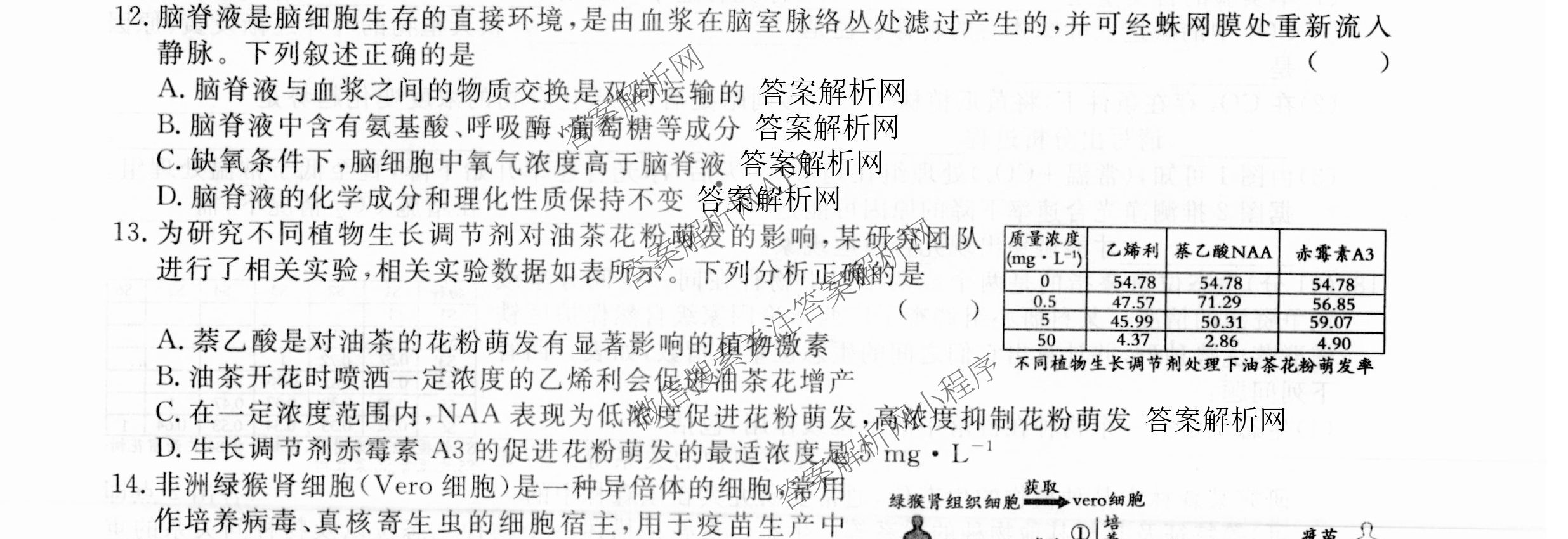 2026届高三总复习名师原创模拟(八)8试卷及答案汇总（含生物(XS6) 历史(XS6) 数学(新S6J)等39份）生物试题