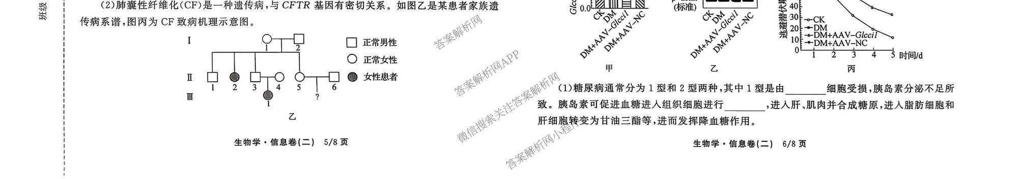 天舟高考衡中同卷2026年普通高等学校招生全国统一考试模拟信息卷(二)2试卷及答案汇总（含化学(LE)、数学(无字母)、物理(山东版)等）生物试题
