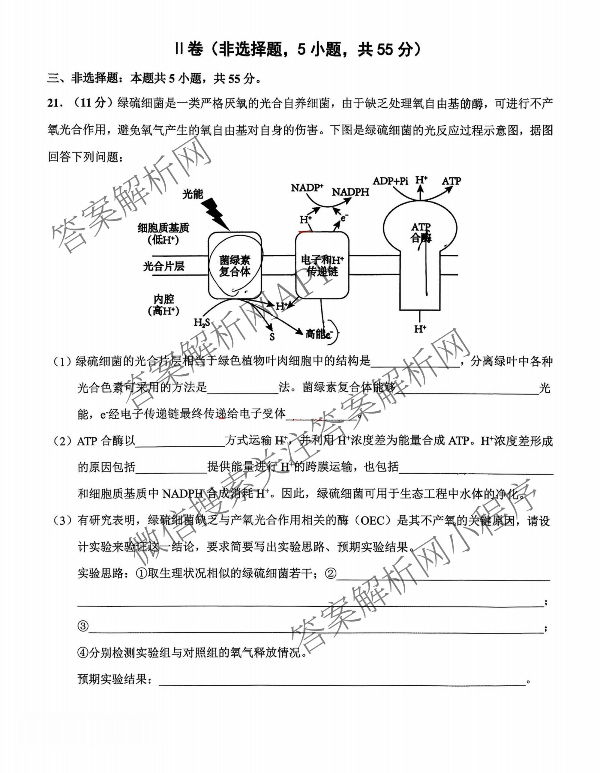 黑龙江省哈九中2025-2026学年度高三下学期第一次模拟考试试卷及答案汇总(已更新历史、生物、英语等9份)生物试题