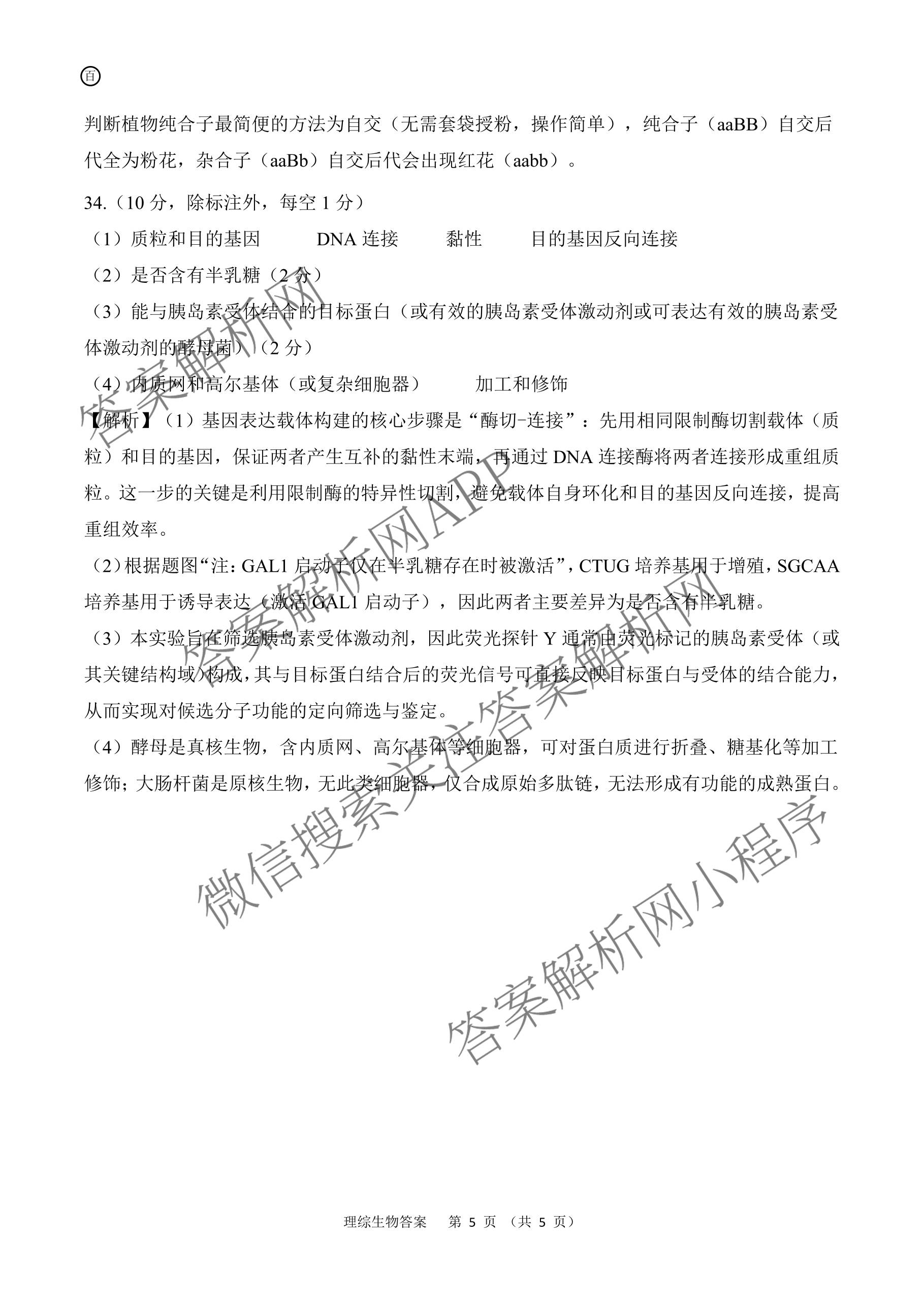 百师联盟2026届高三开年大联考(3.5)(已更新数学(百C)、历史(百N)、历史(百G)等81份)理综答案