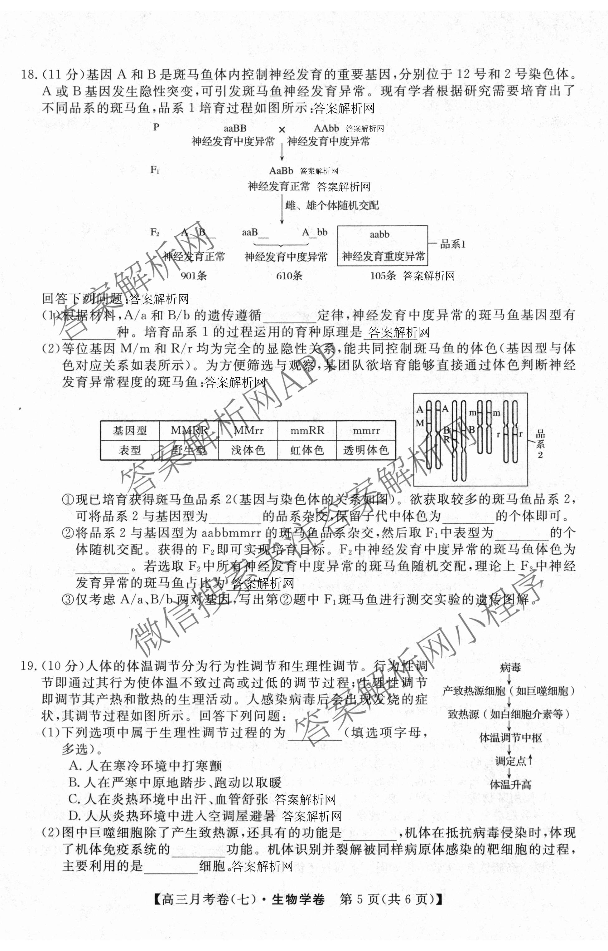 2026届名校大联盟高三月考卷(七)7试卷及答案汇总: 含数学、政治、历史试卷解析生物试题