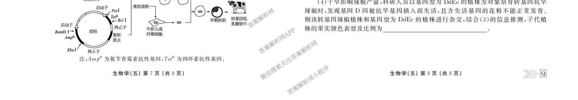 衡水金卷先享题2026年学科素养评价练(五)5(已更新地理(HJ)【河北专版】、地理(HN)【湖南专版】、生物(CY)【四川重庆专版】等90份)生物试题