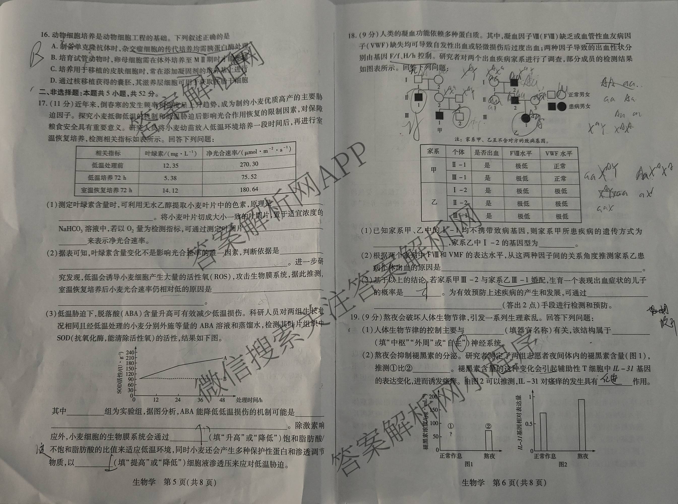 天一大联考2025-2026学年高三3月联考(SHX202603)试卷及答案汇总（9科全）生物试题