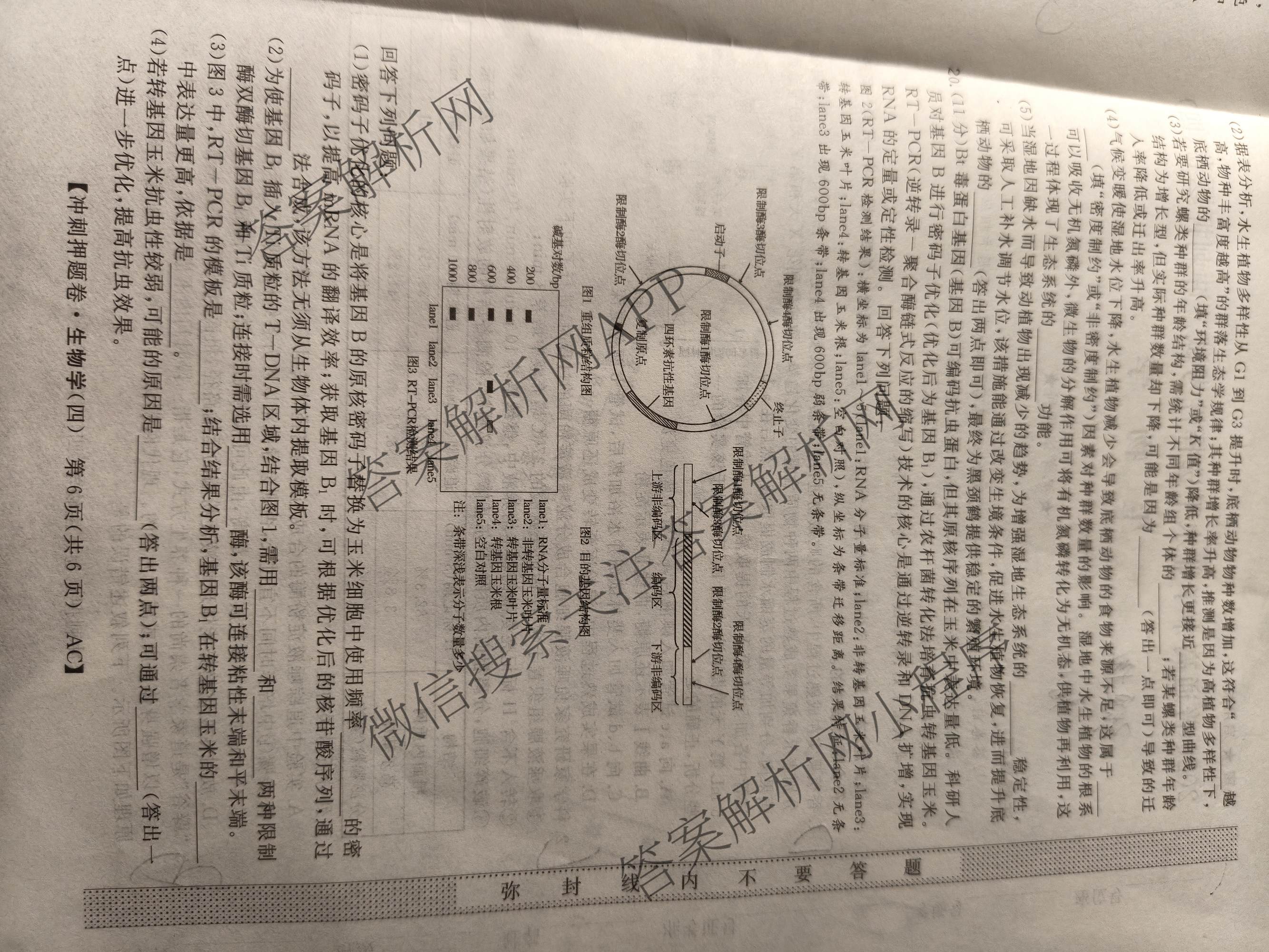 2026普通高等学校招生全国统一考试冲刺押题卷(四)4各科答案及试卷（含语文 地理(HNY) 生物(HBJ)等）生物试题