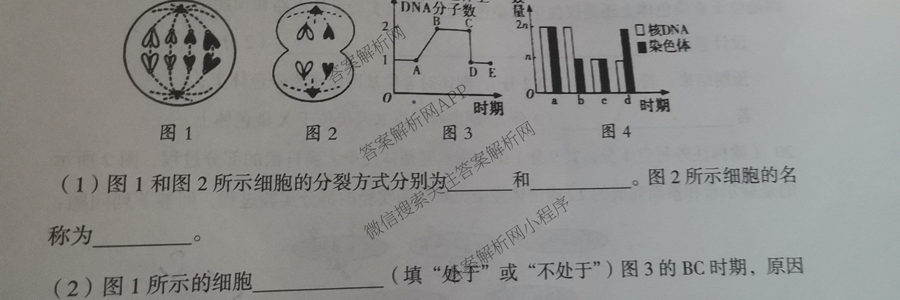 2025年孝义市春季学期高一期中考试试题(卷)各科答案及试卷（含数学、生物、地理等）生物试题