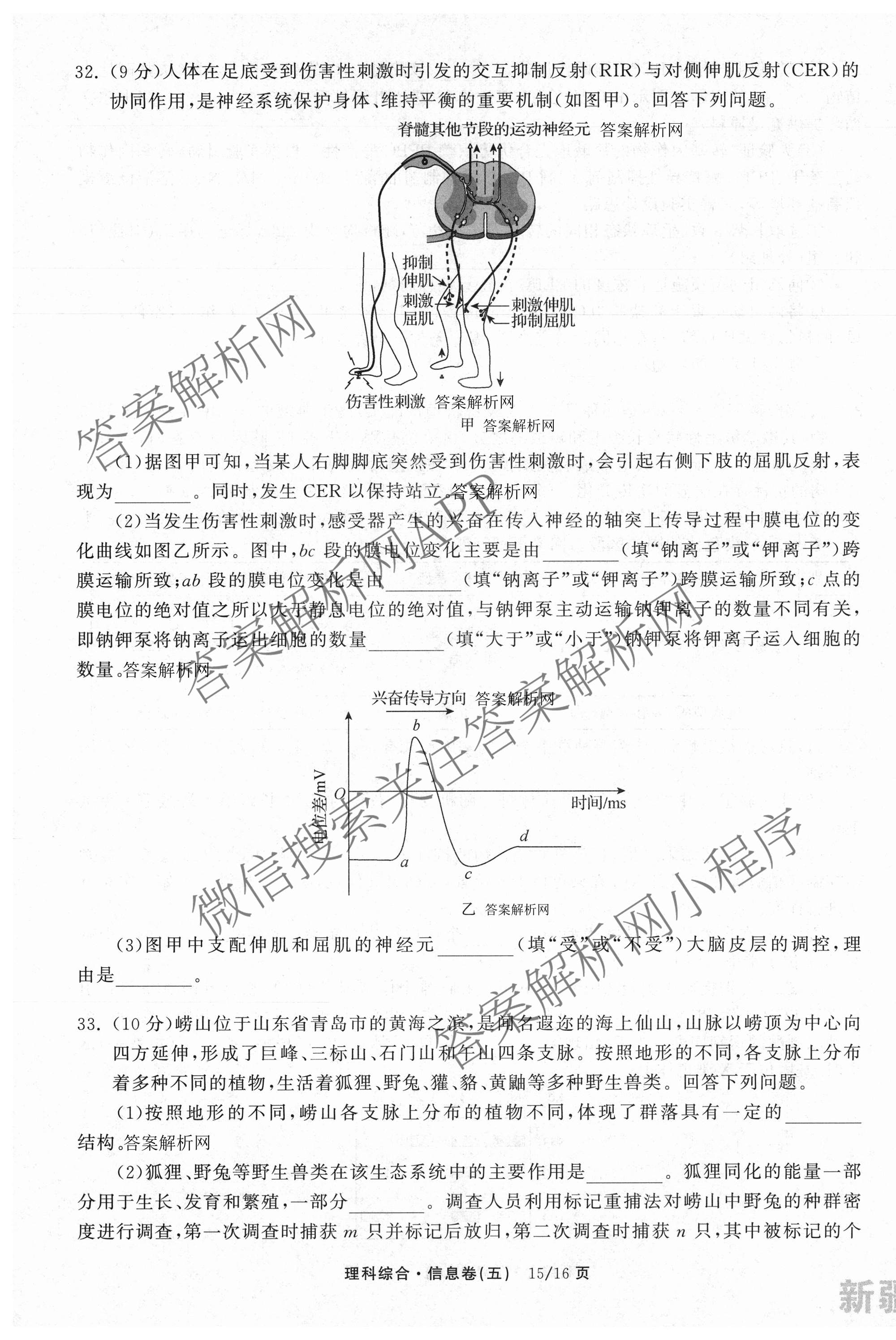 天舟高考衡中同卷2026年普通高等学校招生全国统一考试模拟信息卷(五)5试卷及答案汇总（含化学(WG)、化学(WY)、物理(山东版)等）理综试题