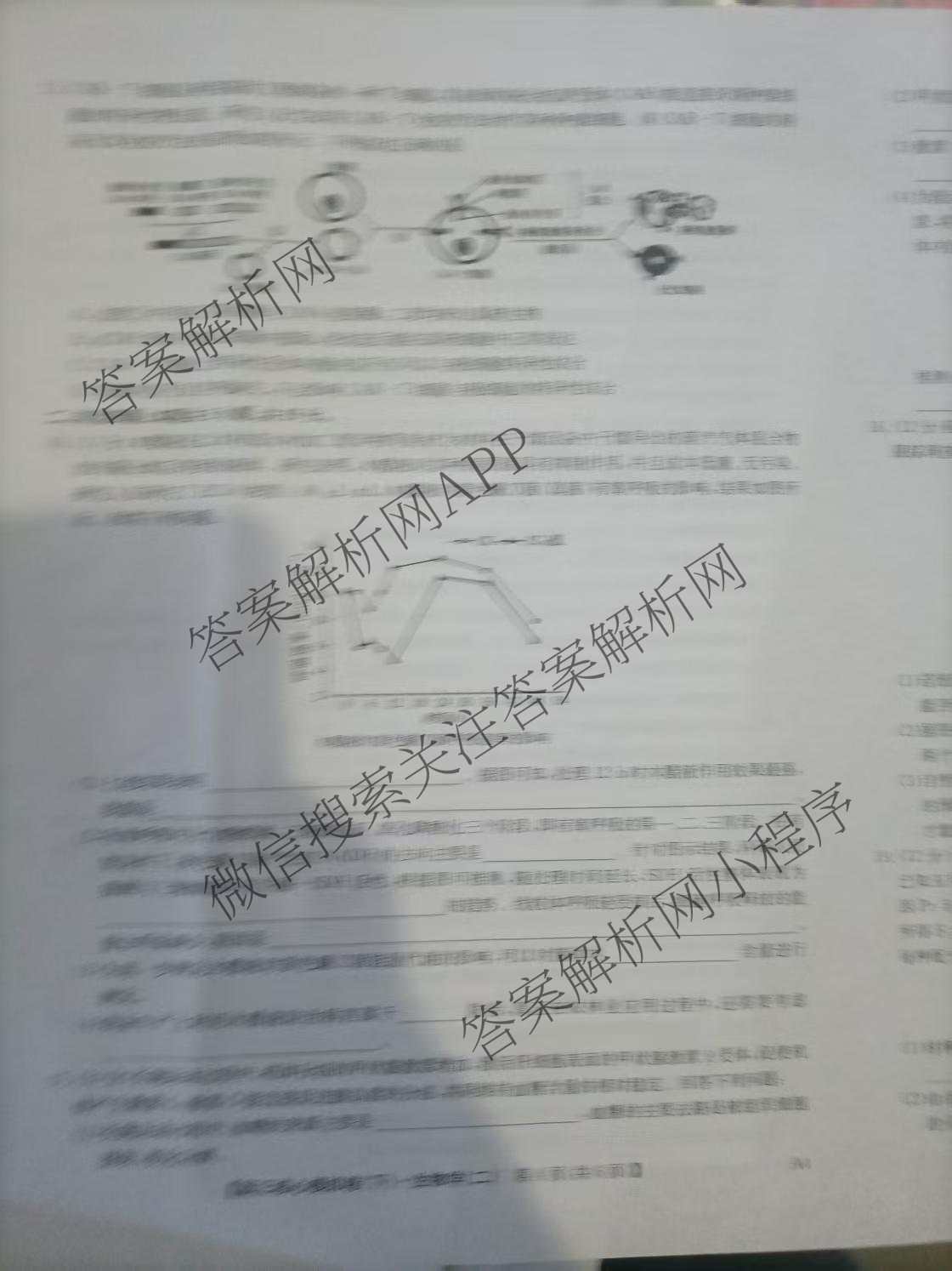 九师联盟2024~2025学年高三核心模拟卷(下)(二)2试卷及答案汇总: 含地理(D4) 政治(JX) 生物(JX)试卷解析生物试题