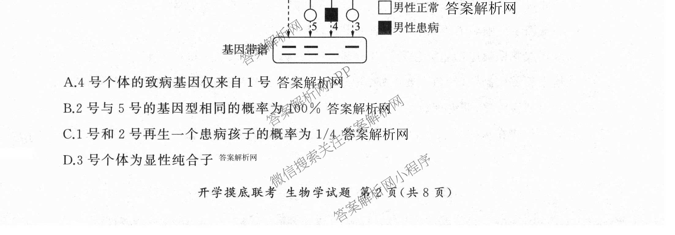 百师联盟2026届高三开学摸底联考各科答案及试卷（含化学(百G) 物理(百L) 英语(百B)等）生物试题